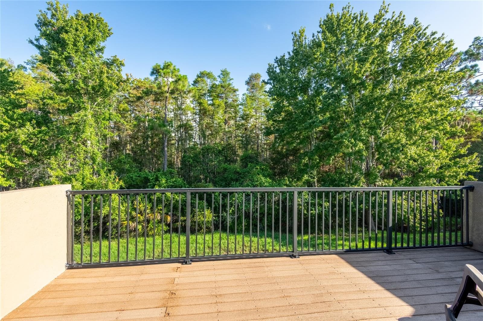 balcony off the upstairs bonus room - 14815 NINEBARK CT, LAND O LAKES