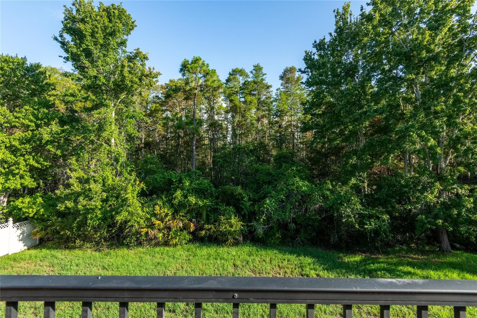 conservation view off of upstairs balcony - 14815 NINEBARK CT, LAND O LAKES