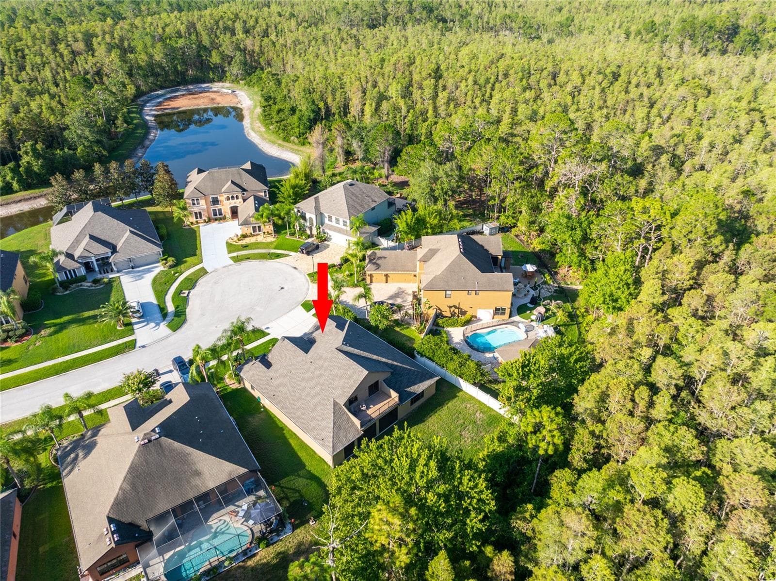 aerial view of the home - 14815 NINEBARK CT, LAND O LAKES