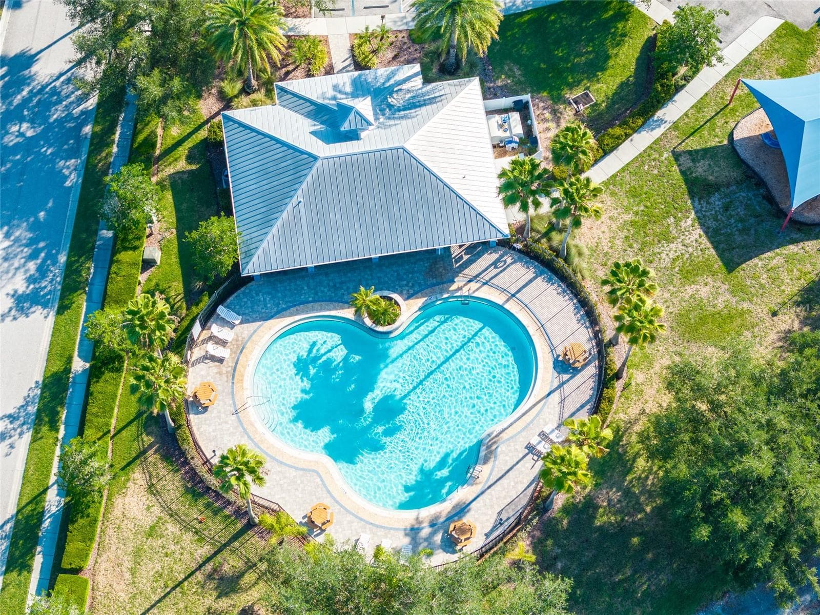 community pool - 14815 NINEBARK CT, LAND O LAKES