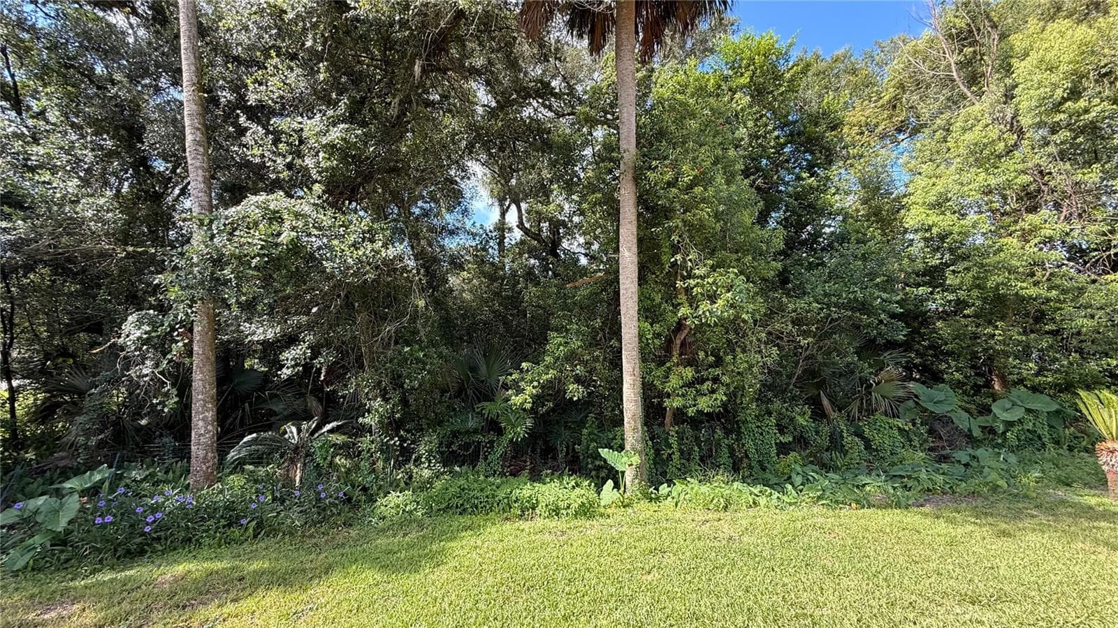 Single Family Residence at 898 CRITTENDEN AVE, ORANGE CITY, photo 43 of 43