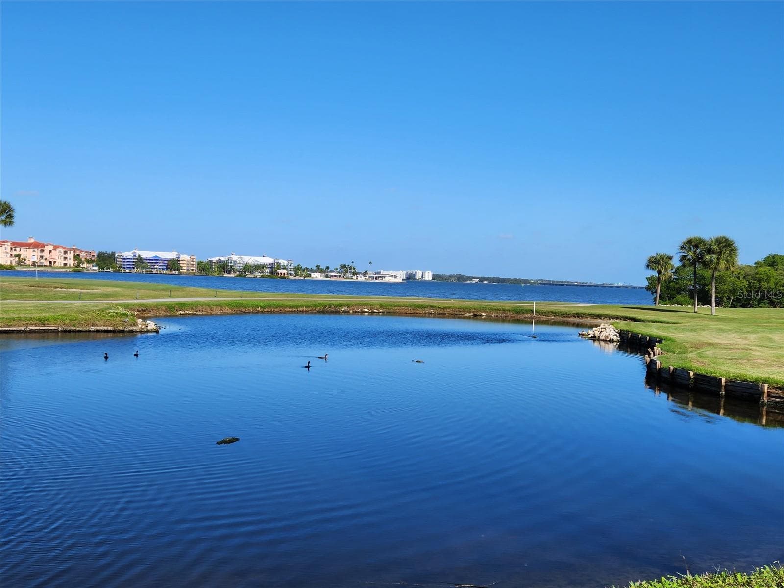 Condominium at 800 COVE CAY DR #5G, CLEARWATER, photo 57 of 59