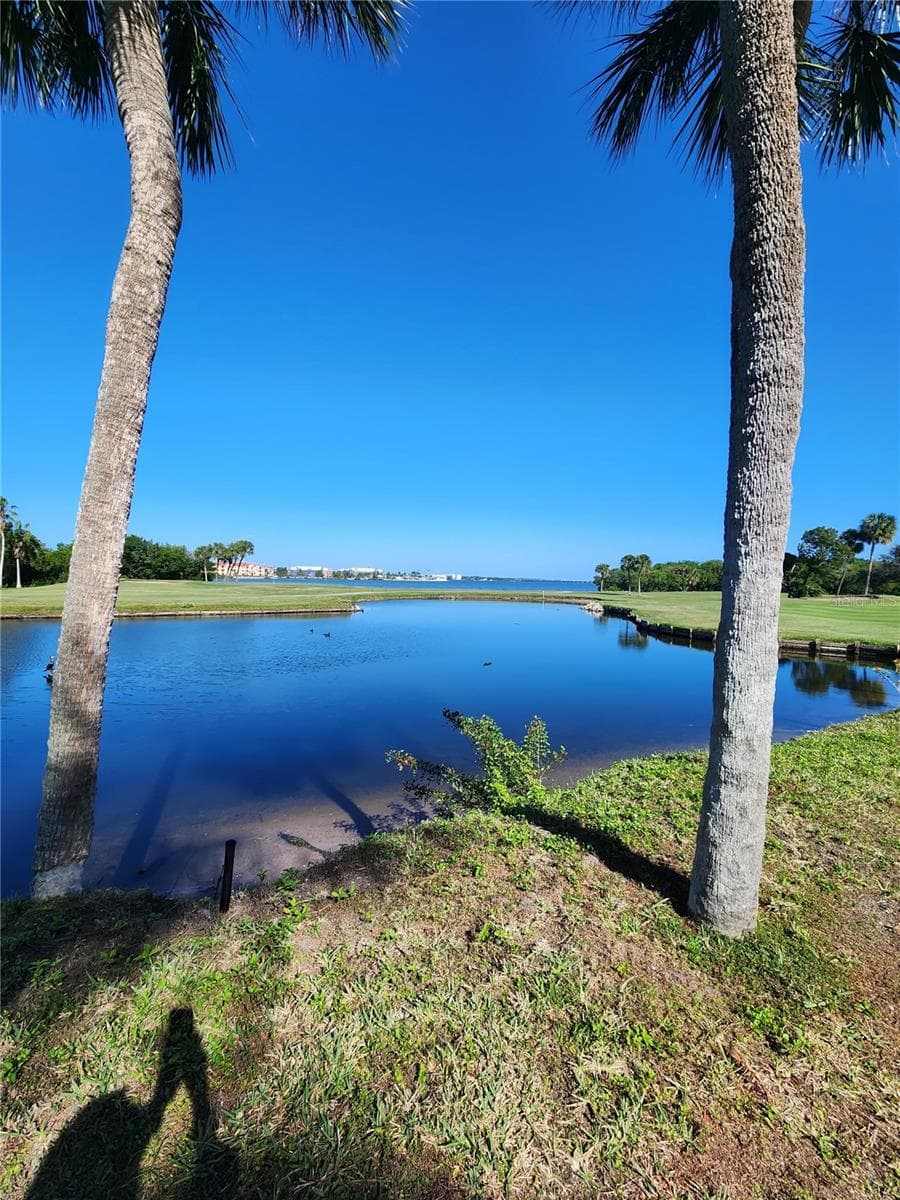 Condominium at 800 COVE CAY DR #5G, CLEARWATER, photo 58 of 59