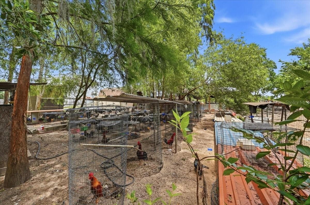 Chicken coop - 14445 COMMONWEALTH AVE N, POLK CITY