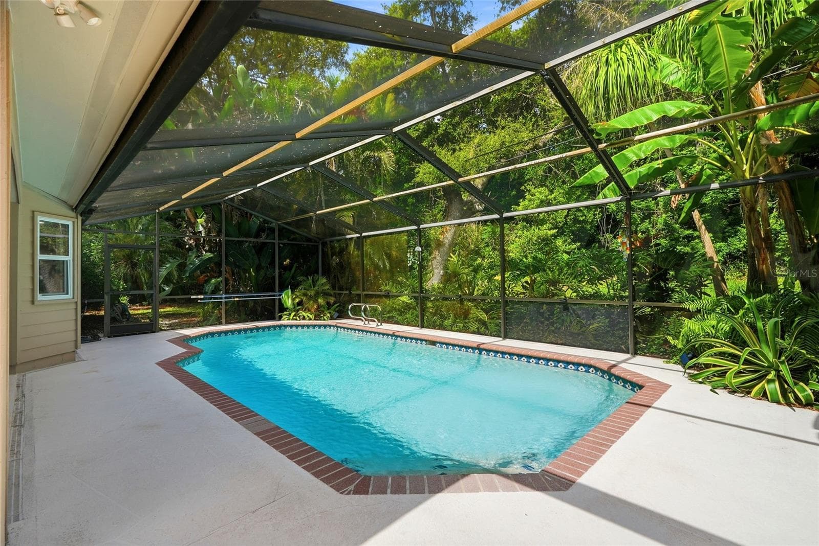 Lanai/Pool - 4733 LAKE VALENCIA BLVD W, PALM HARBOR
