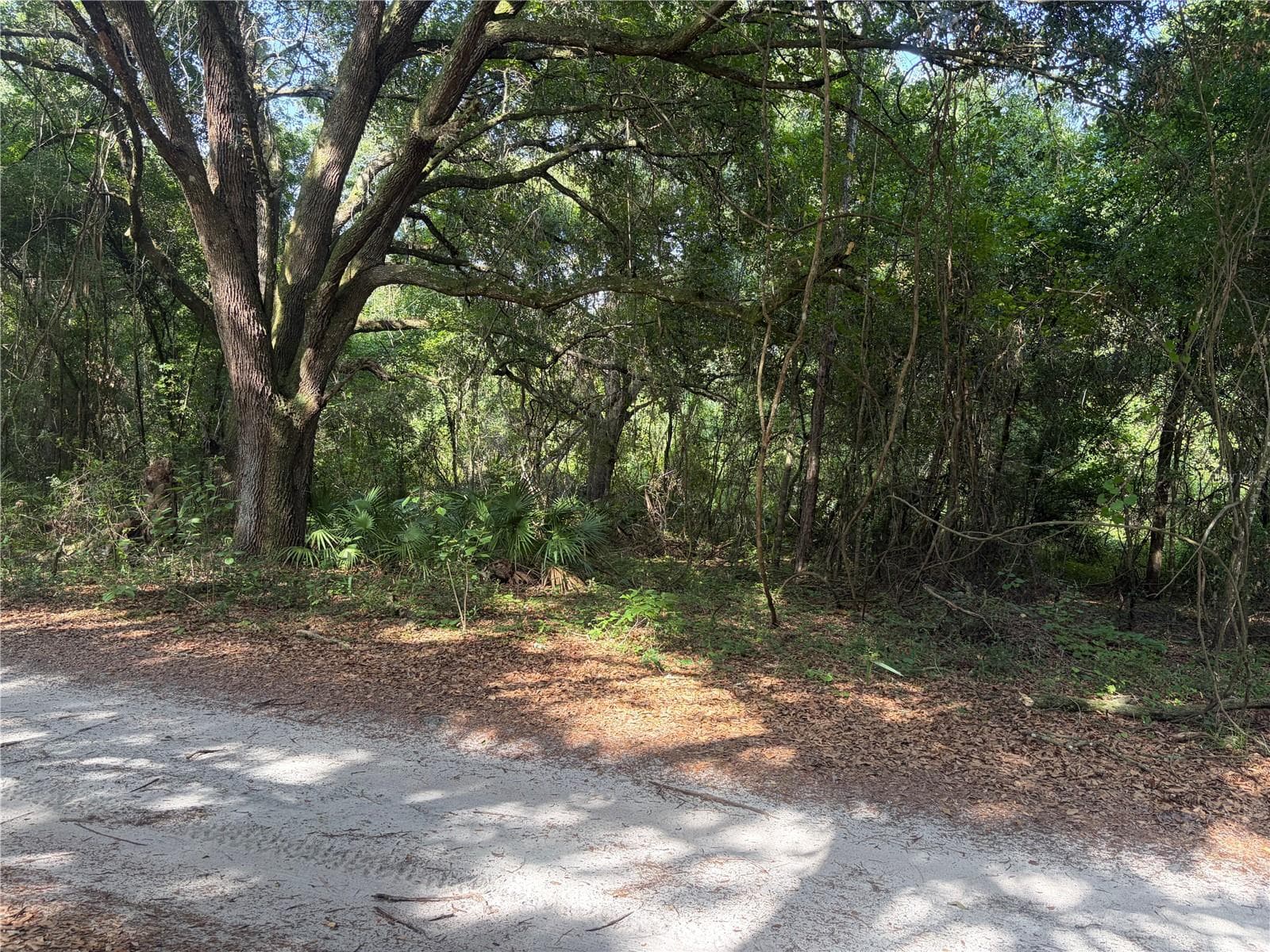Land at CR 738, WEBSTER, photo 2 of 2