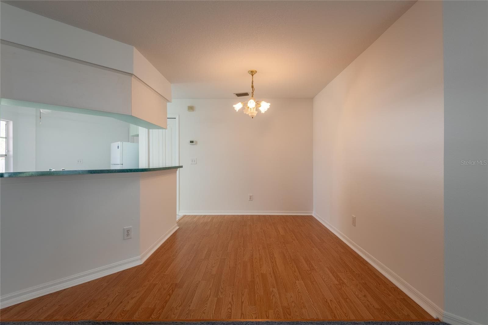 Spacious dining area. - 1914 WOODCUT DR, LUTZ