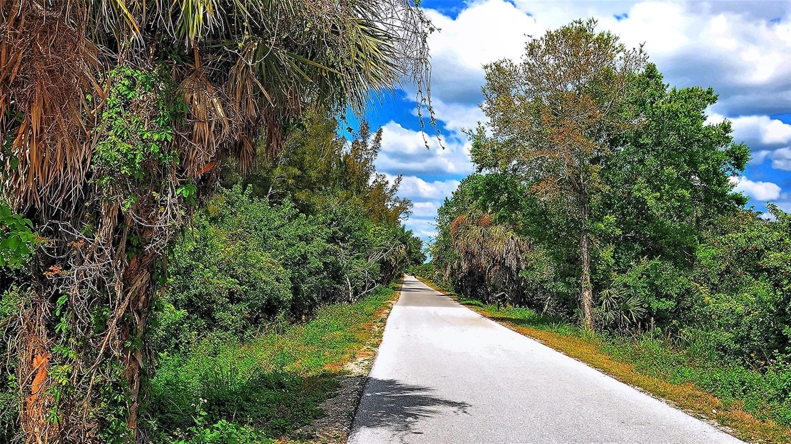 Townhouse at 8777 MILESTONE DR, SARASOTA, photo 56 of 58