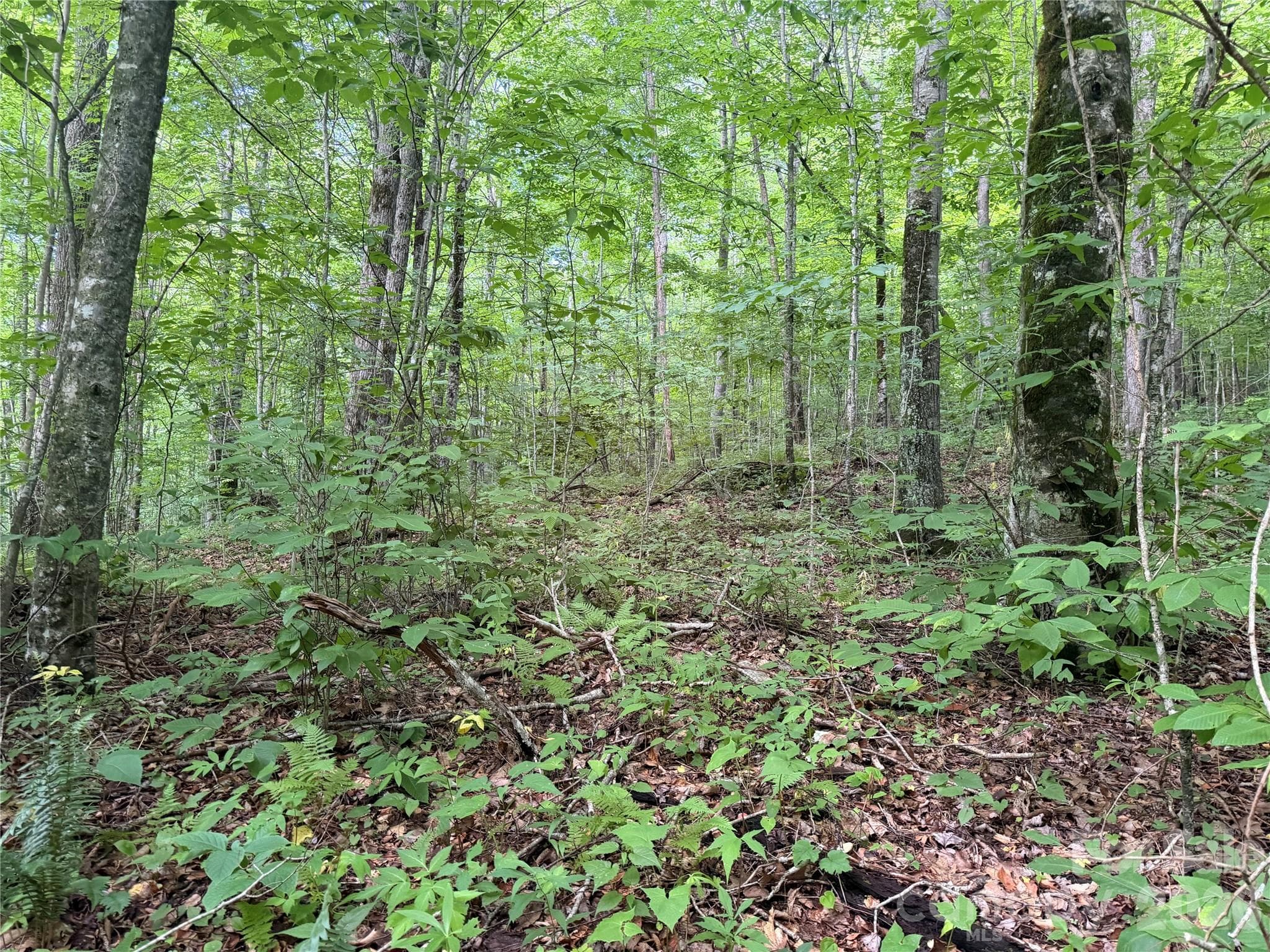 Lot at 64A Jonathan Trail, Maggie Valley, photo 15 of 15