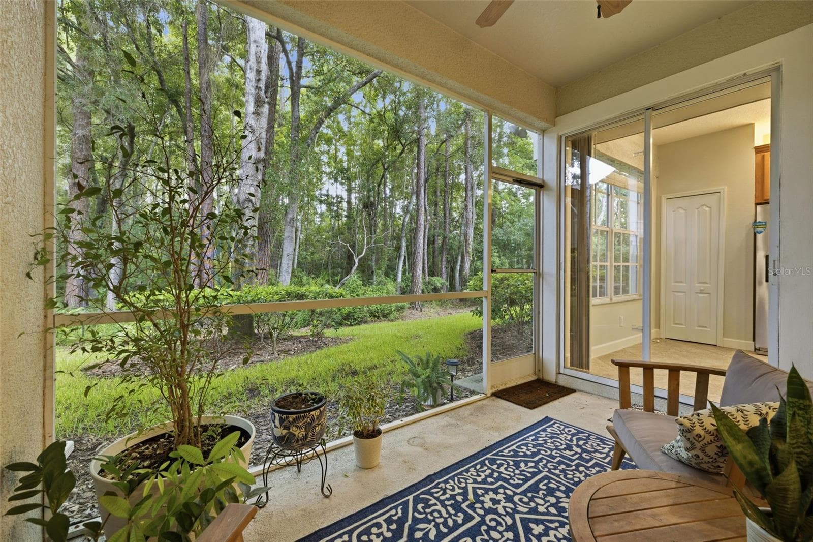 Patio View - 14613 MIRABELLE VISTA CIR, TAMPA
