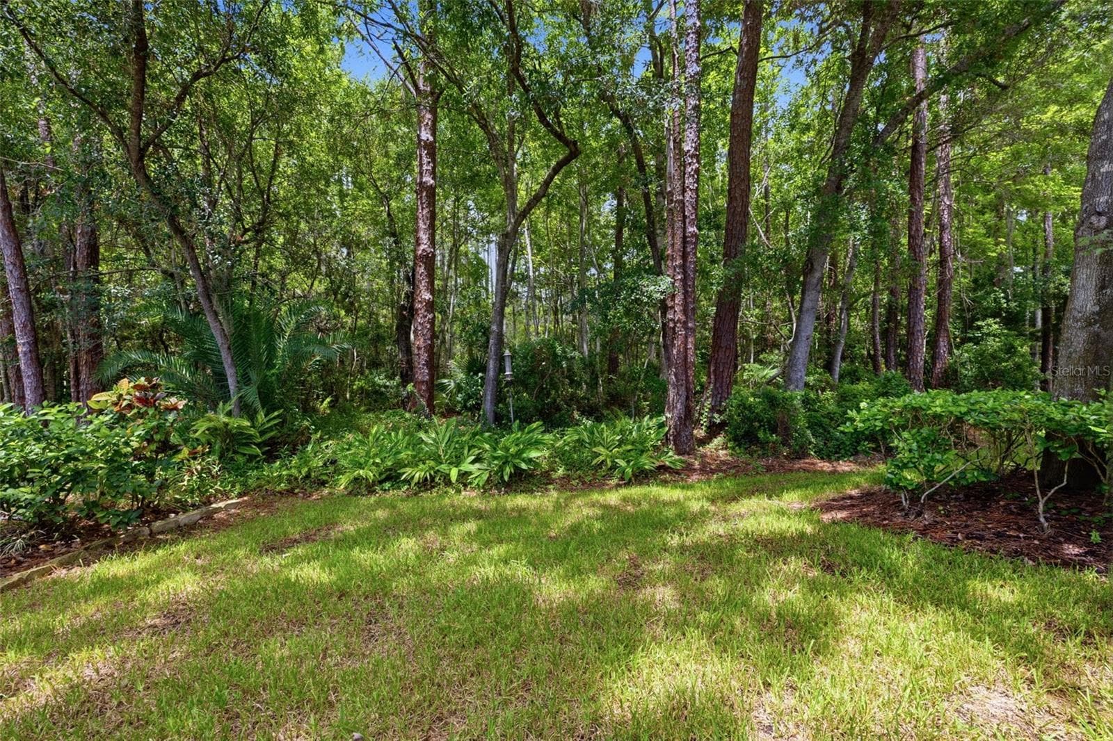 Backyard View - 14613 MIRABELLE VISTA CIR, TAMPA