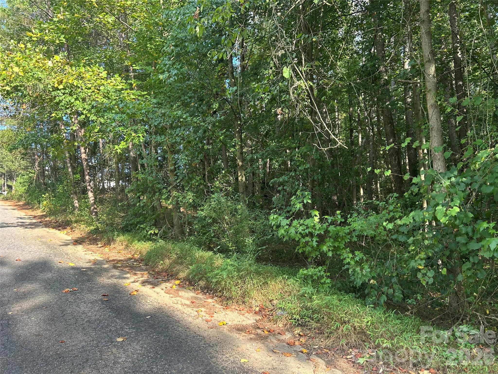 00 Knottywood Lane