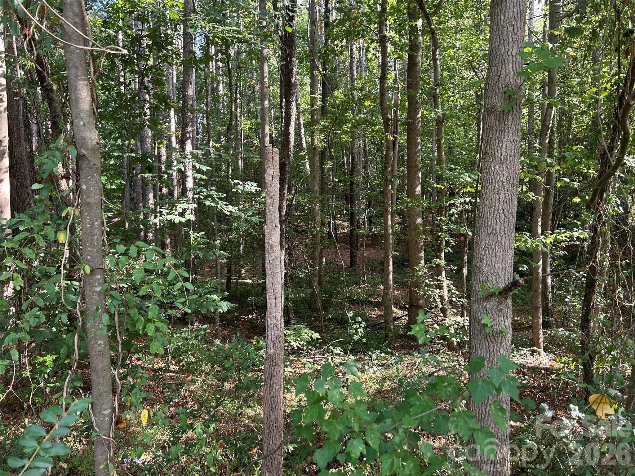 Lot at 00 Knottywood Lane, Vale, photo 4 of 6