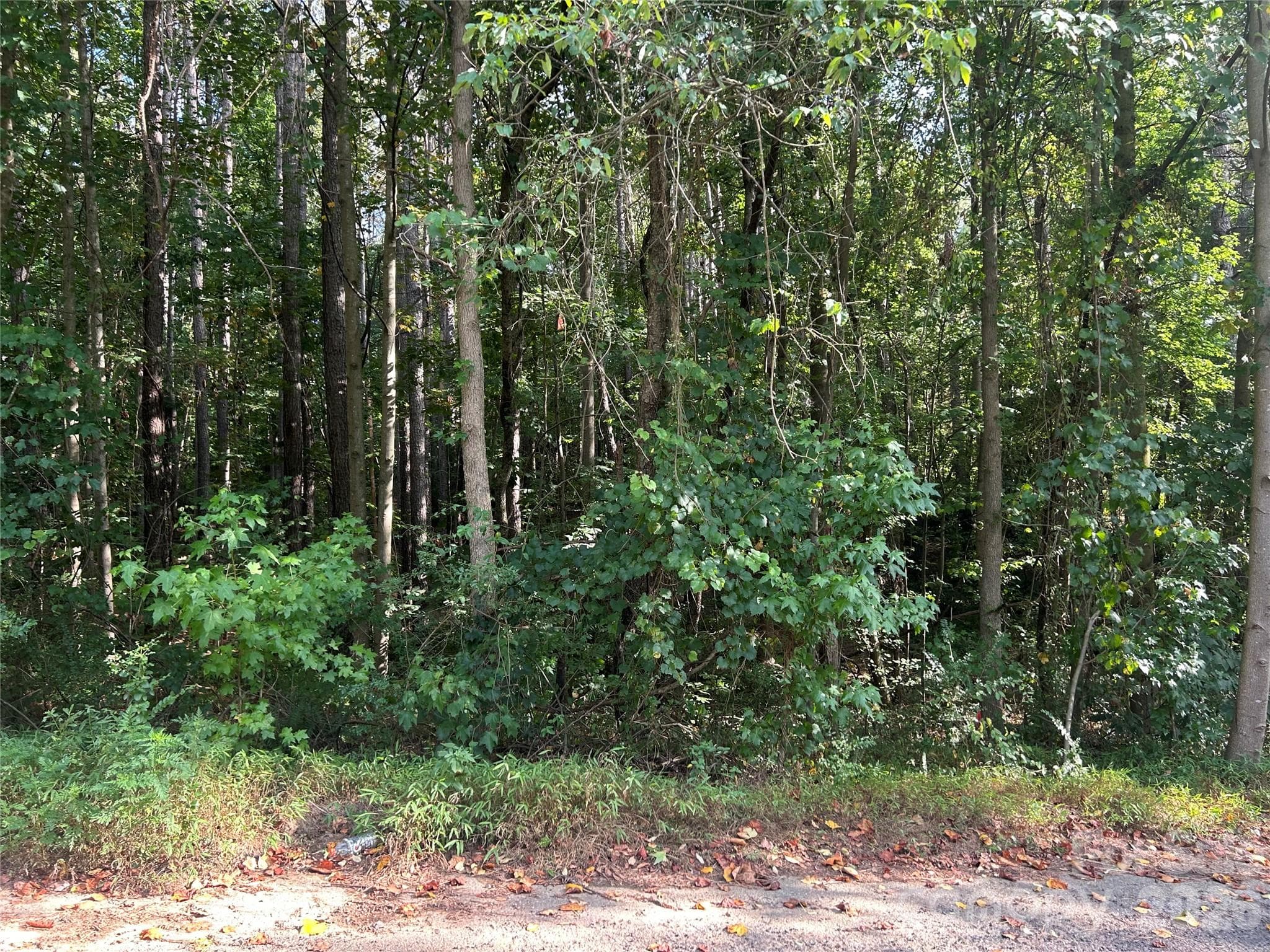Lot at 00 Knottywood Lane, Vale, photo 5 of 6