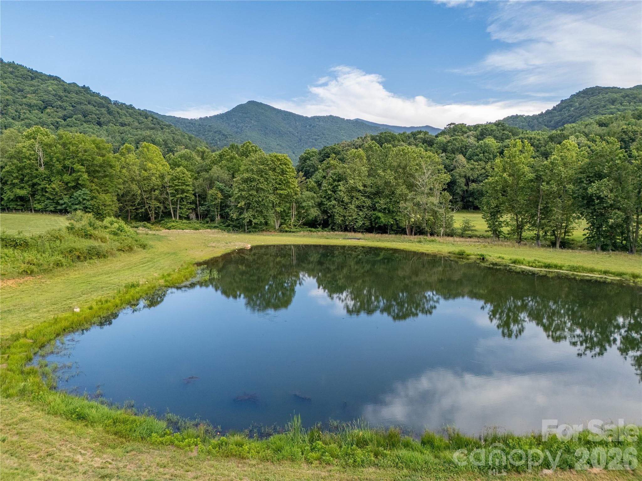 1.5+/- Acre Creek-Fed Pond - 793 State Highway 197 South, Burnsville