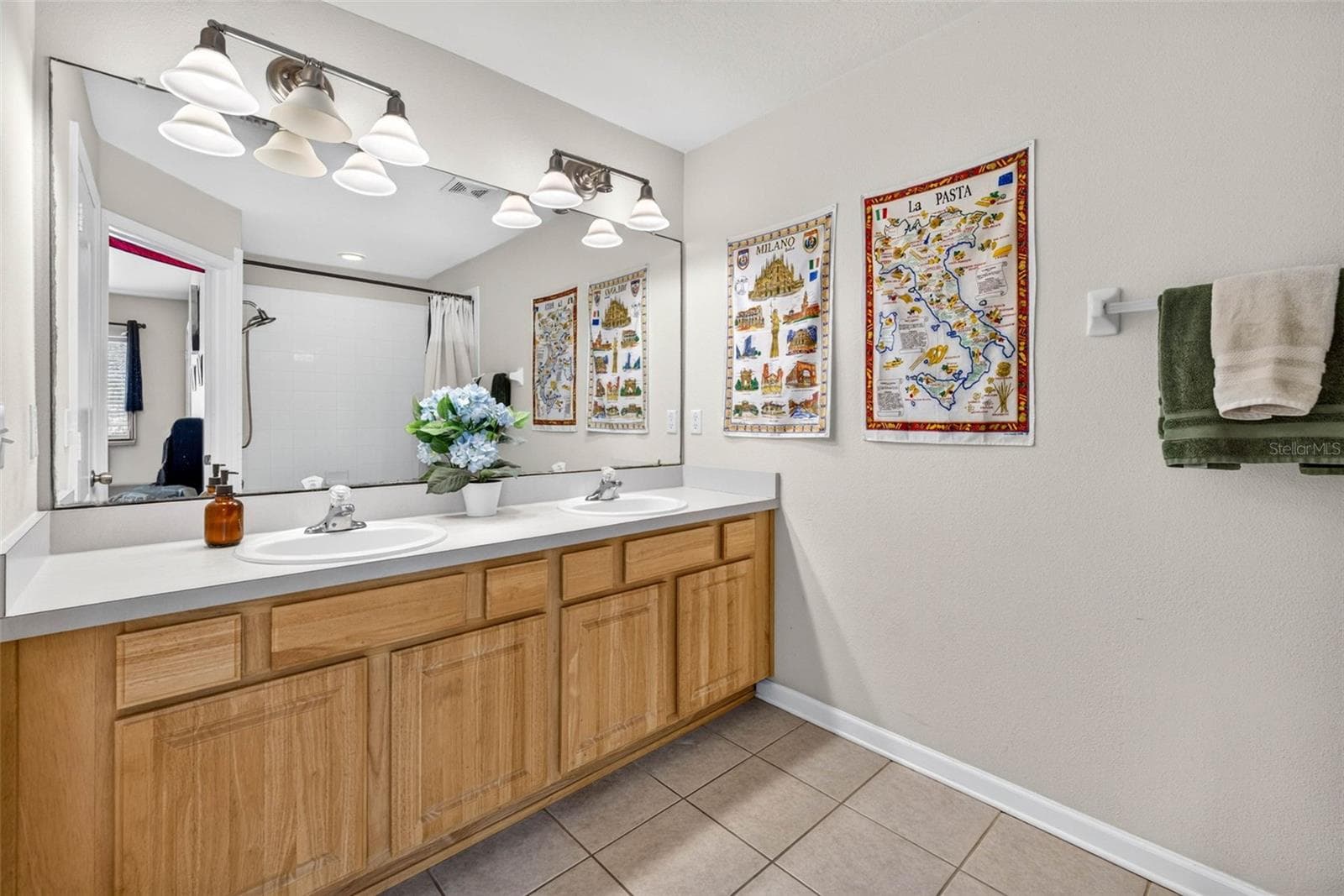 primary bathroom w.shower tub combo - 26624 CHIMNEY SPIRE LN, WESLEY CHAPEL