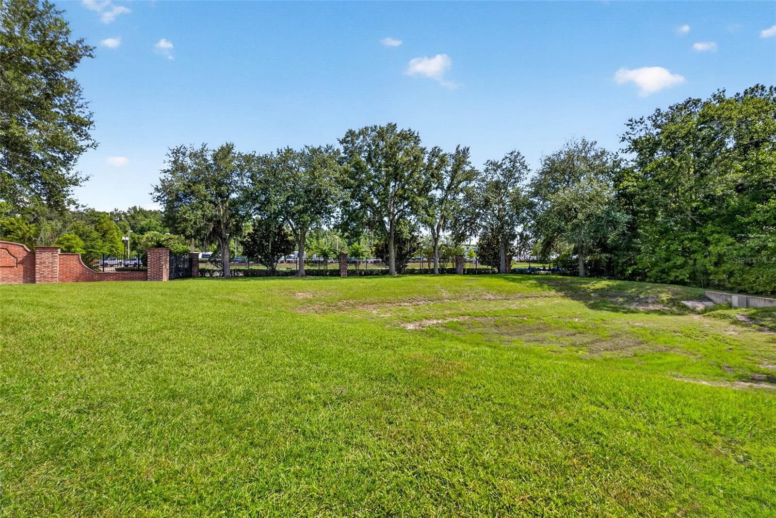 back yard conservation lot - 26624 CHIMNEY SPIRE LN, WESLEY CHAPEL