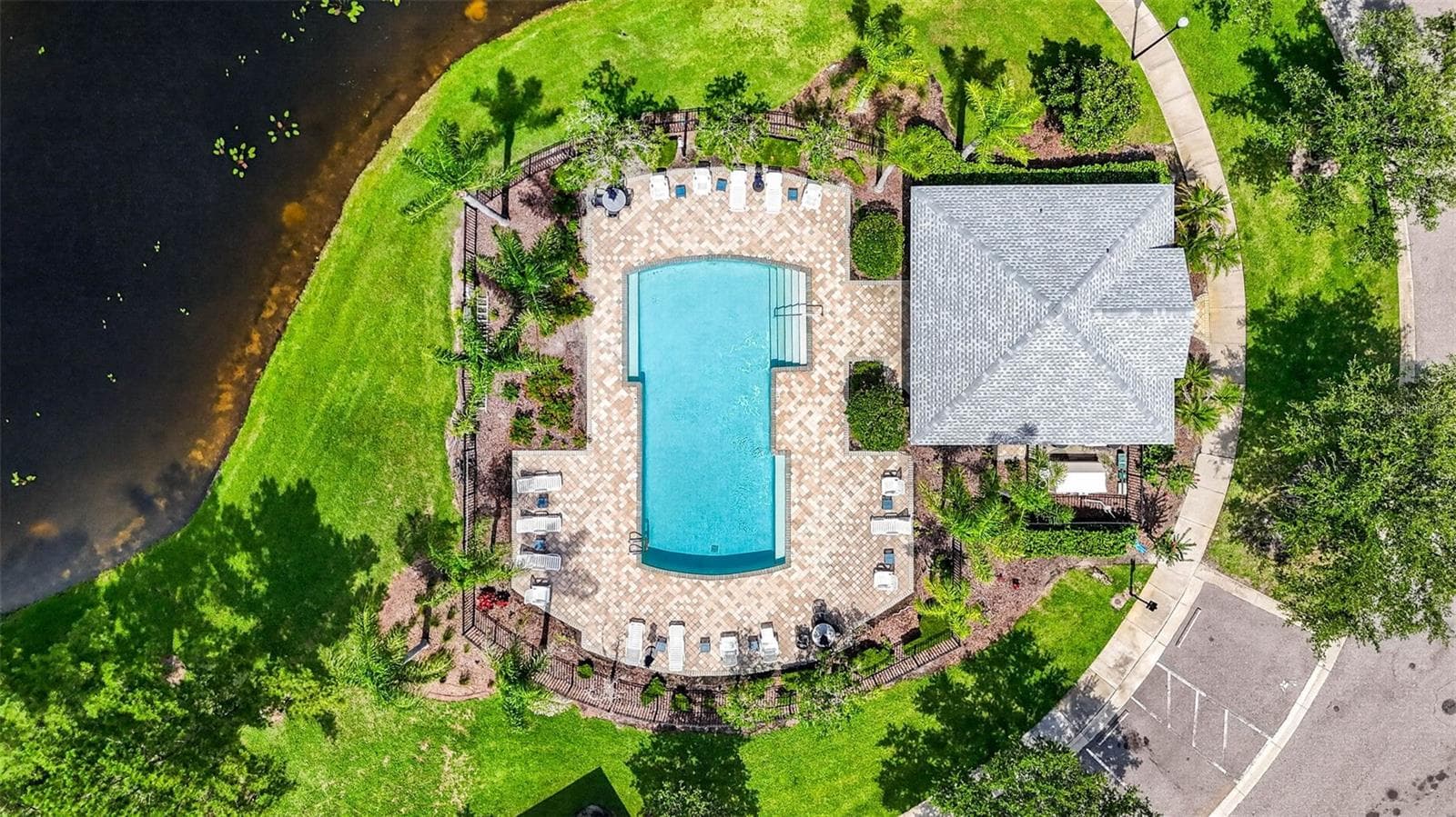 Clubhouse & pool - 26624 CHIMNEY SPIRE LN, WESLEY CHAPEL