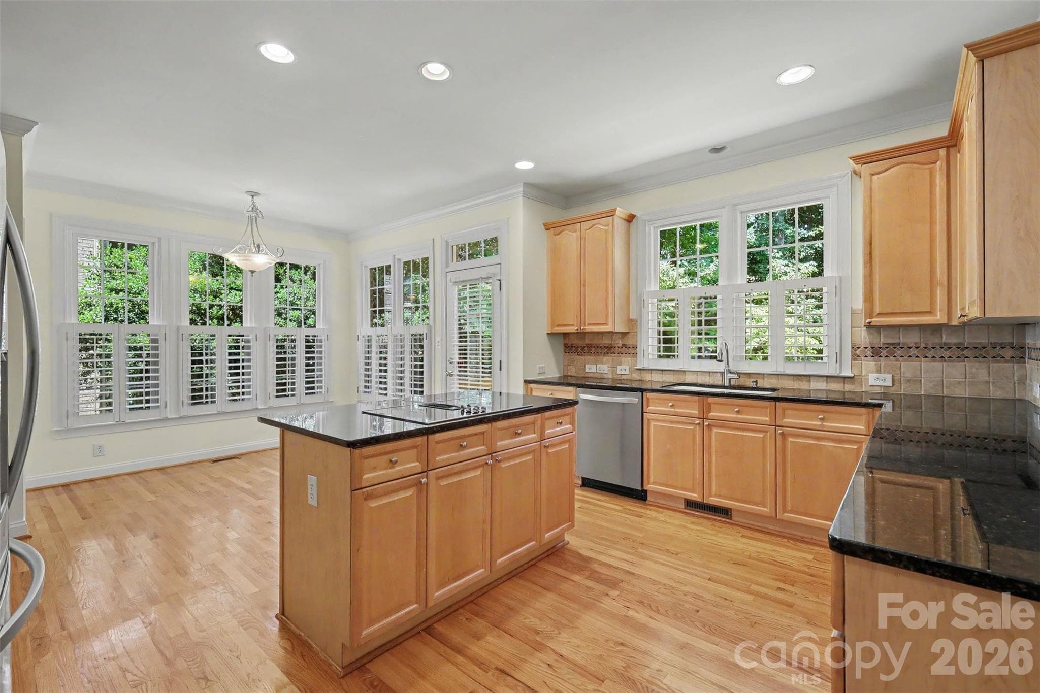 Single Family Residence at 10110 Paradise Ridge Road, Charlotte, photo 8 of 40