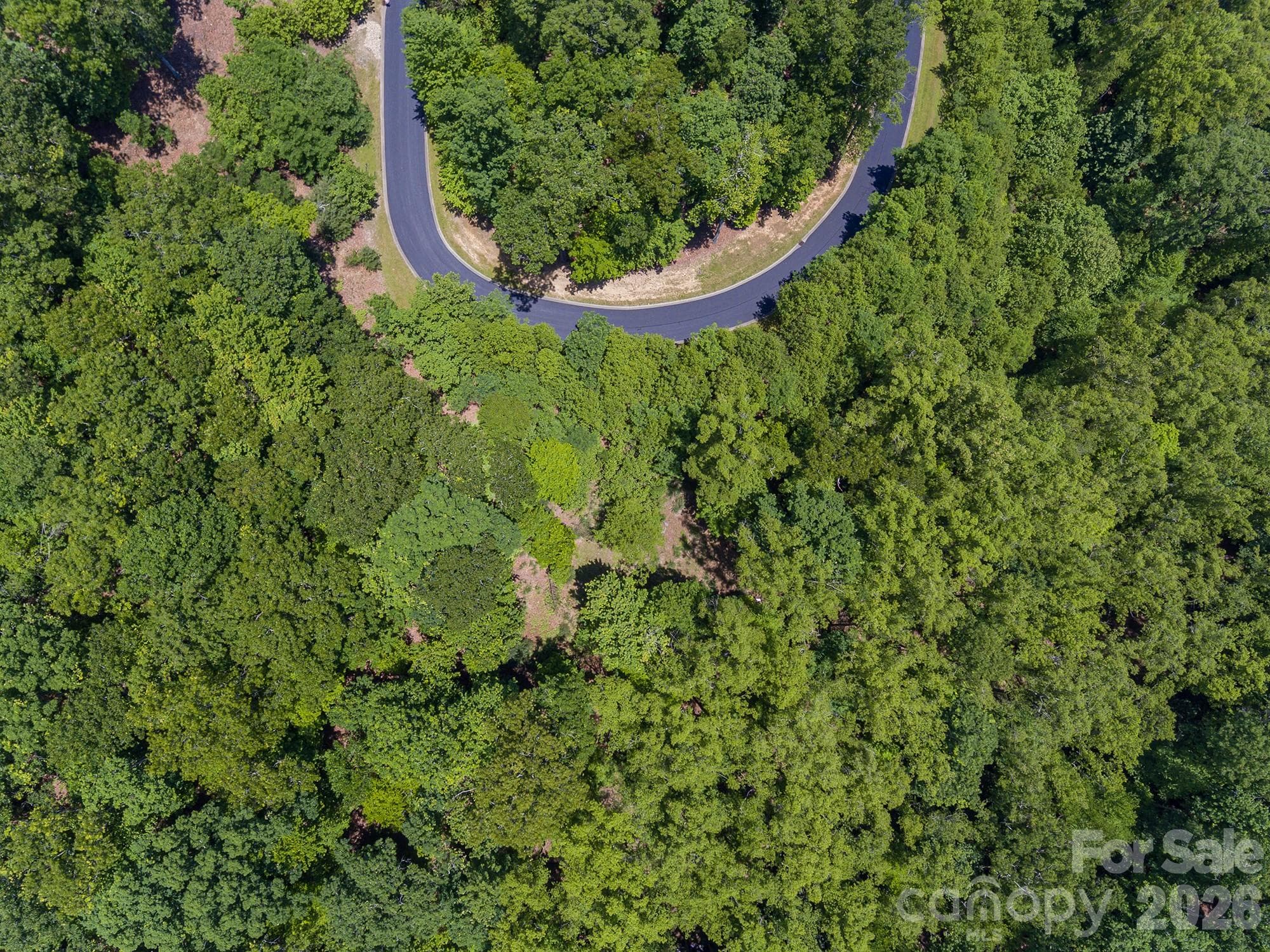 Lot at lot 53R Mills River Way, Horse Shoe, photo 15 of 33