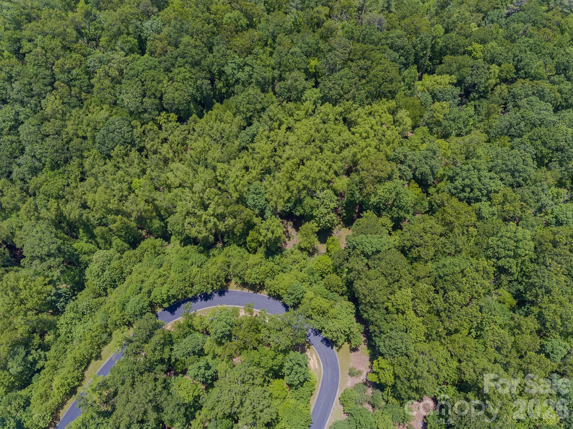 Lot at lot 53R Mills River Way, Horse Shoe, photo 16 of 33