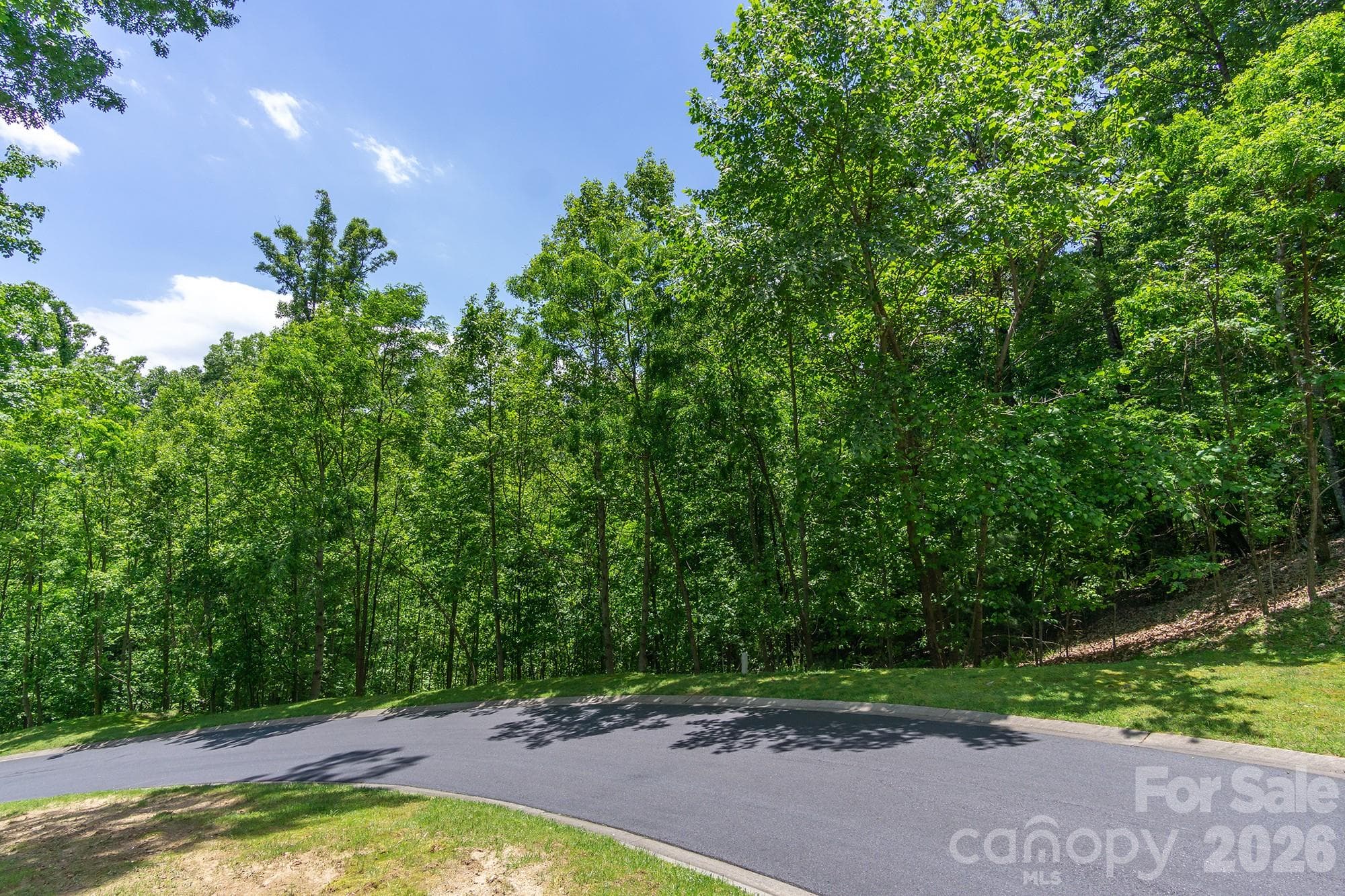 Lot at lot 53R Mills River Way, Horse Shoe, photo 27 of 33