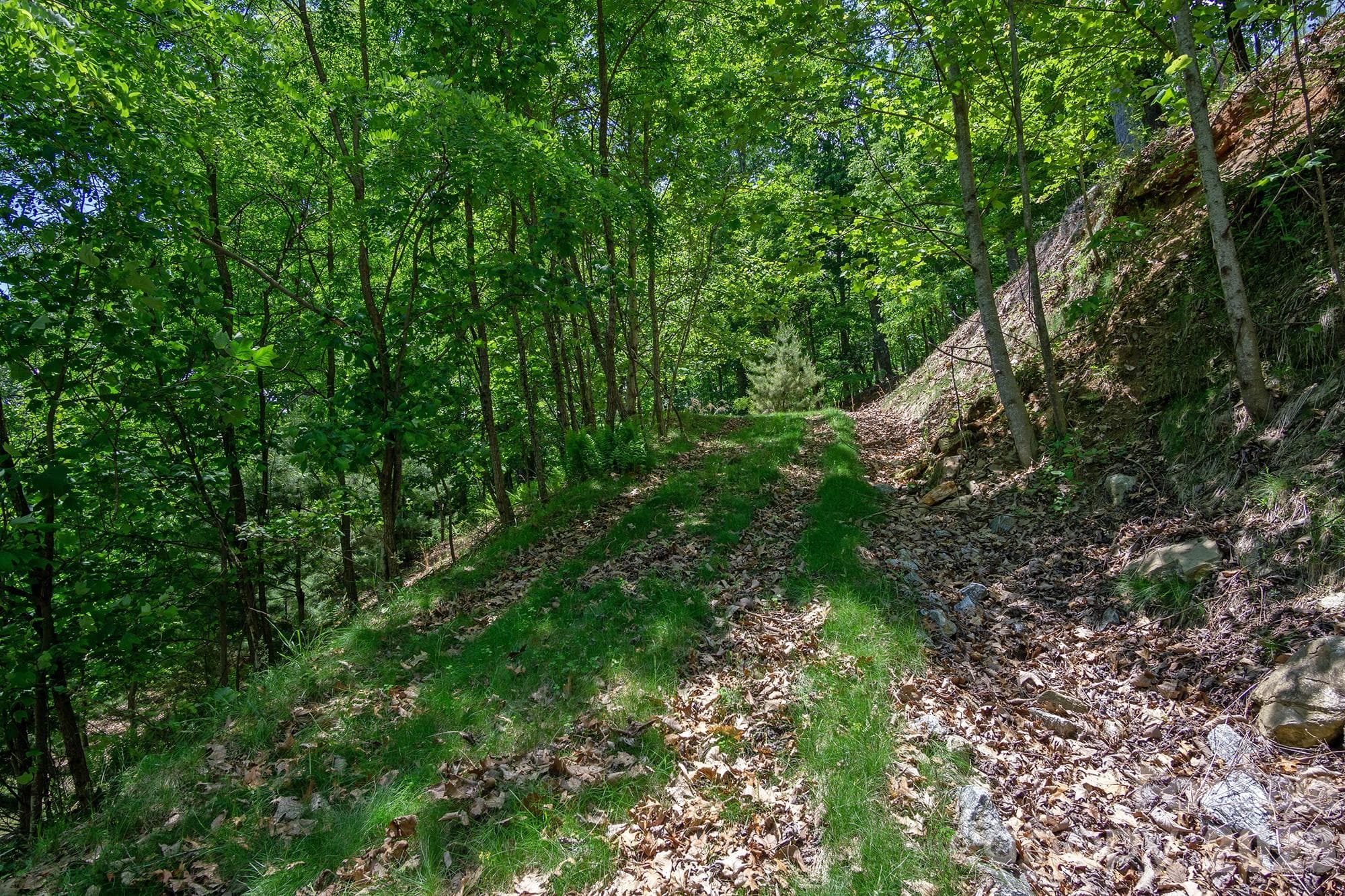 Lot at lot 53R Mills River Way, Horse Shoe, photo 28 of 33