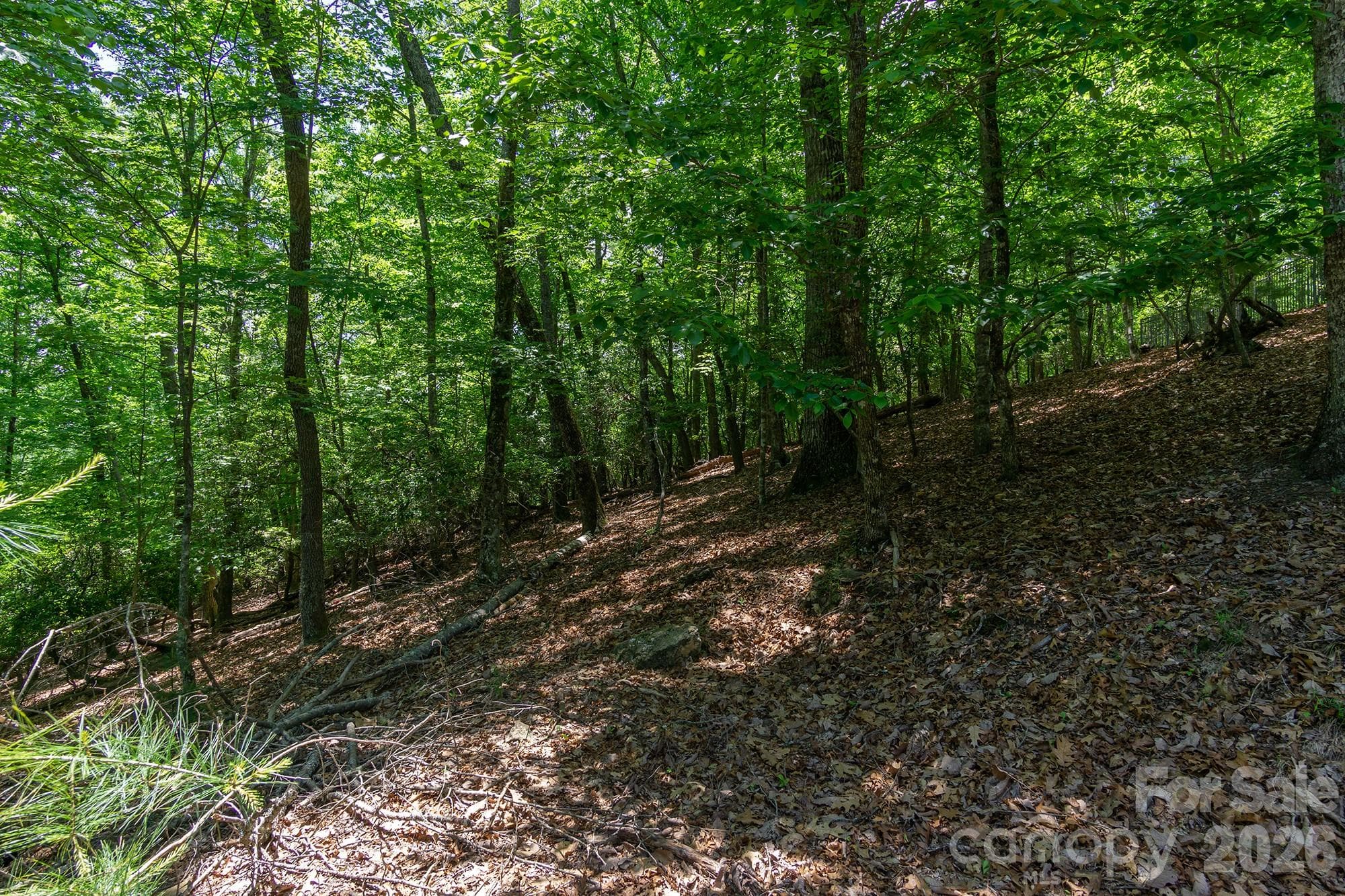 Lot at lot 53R Mills River Way, Horse Shoe, photo 29 of 33