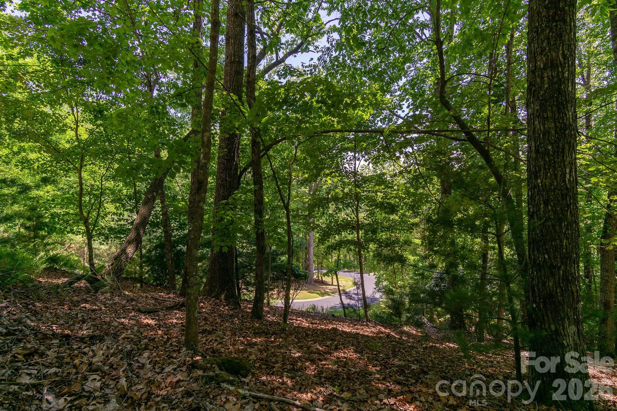 Lot at lot 53R Mills River Way, Horse Shoe, photo 30 of 33