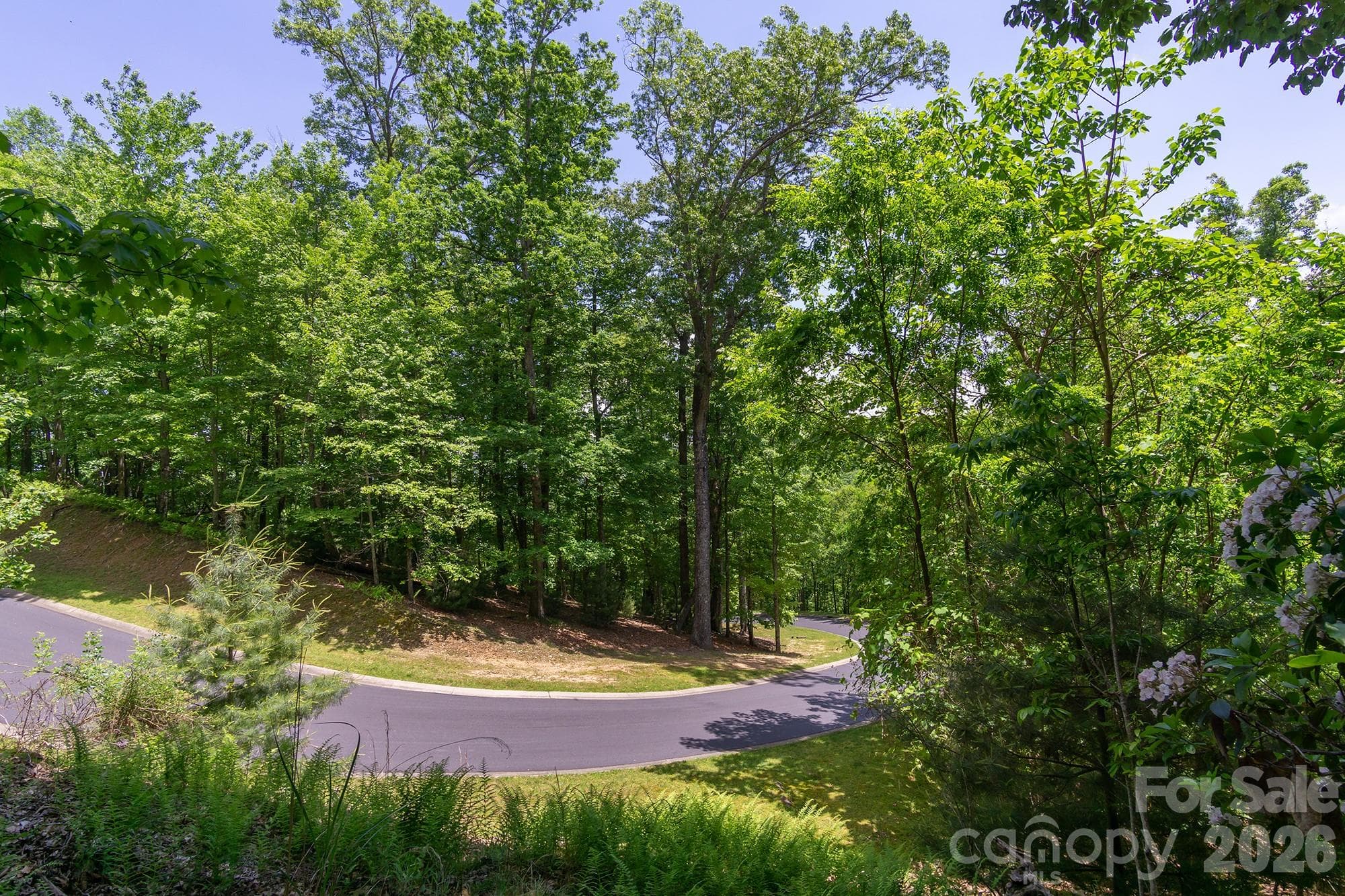 Lot at lot 53R Mills River Way, Horse Shoe, photo 31 of 33