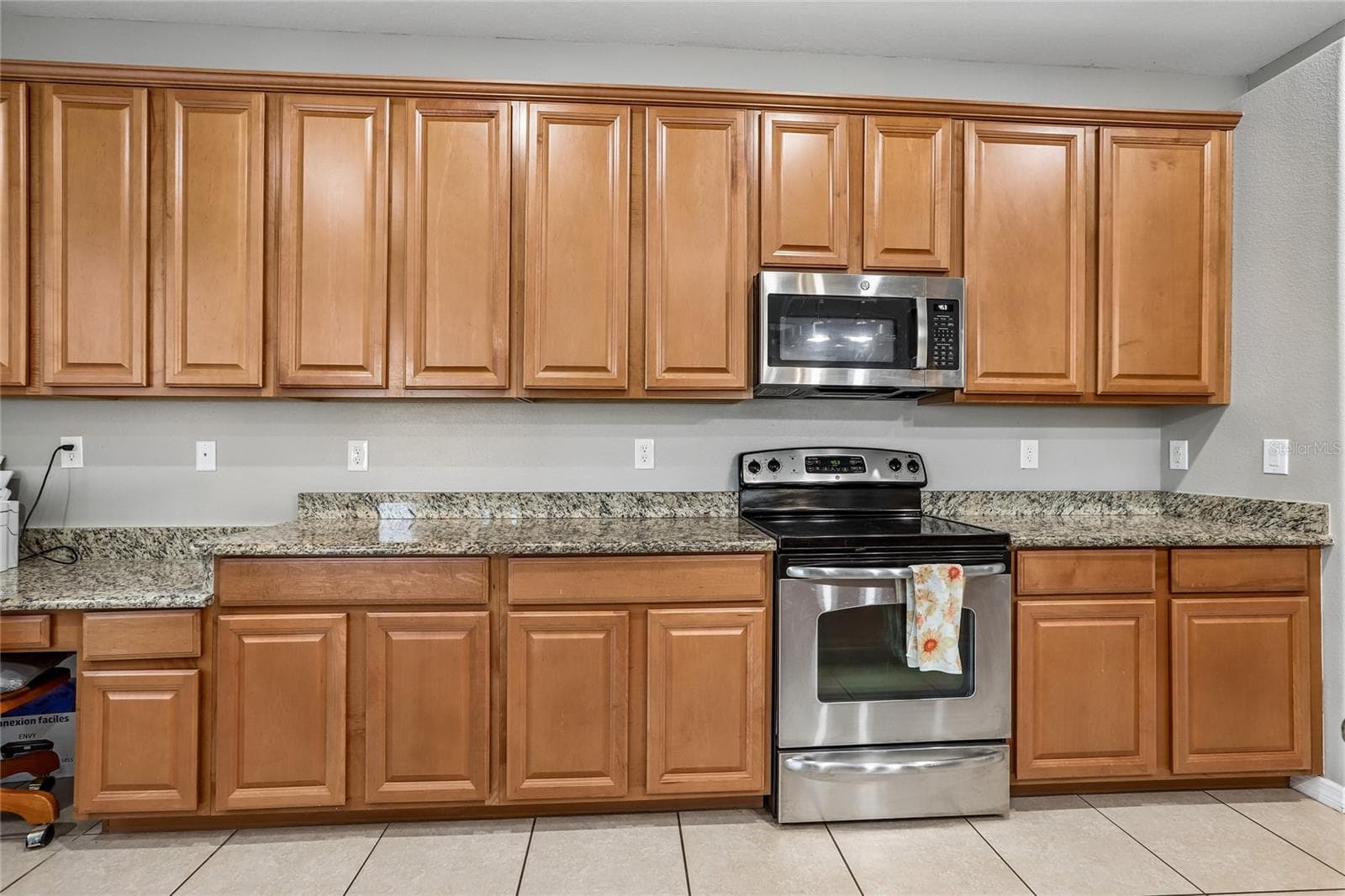 Single Family Residence at 13231 GRAHAM YARDEN DR, RIVERVIEW, photo 48 of 61