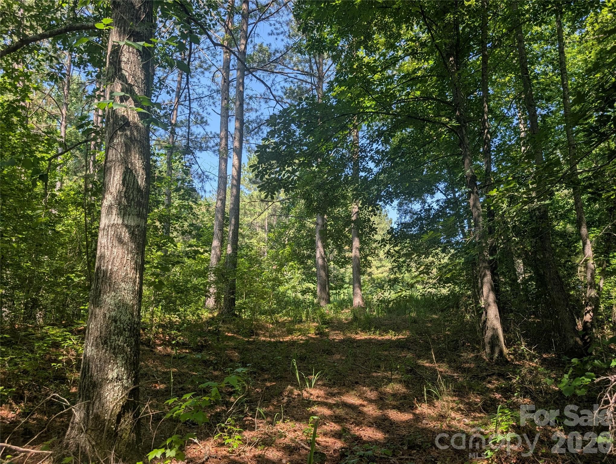 Build site - 120 Scenic Ridge Drive, Mooresboro
