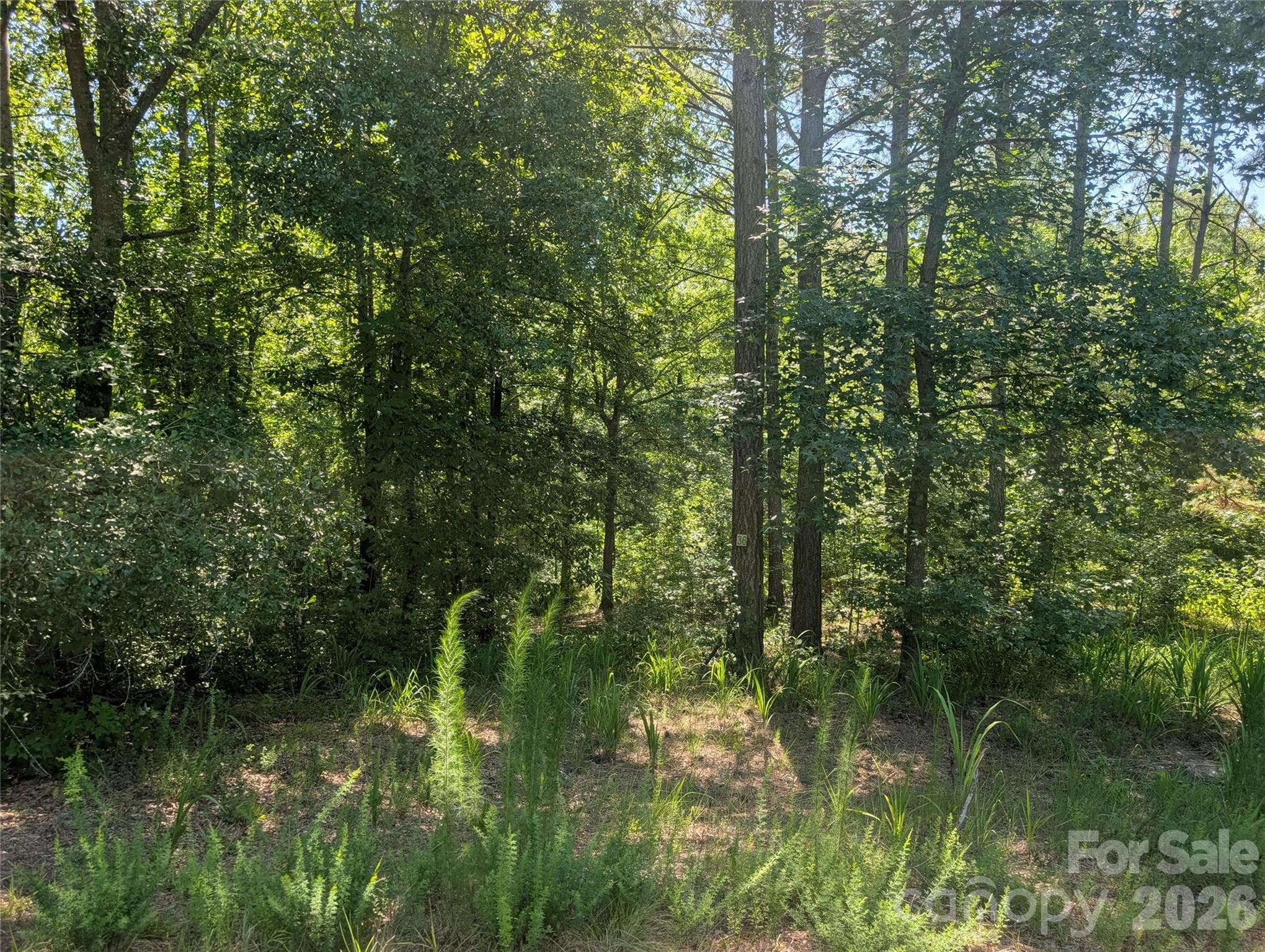 Easily buildable site - 120 Scenic Ridge Drive, Mooresboro