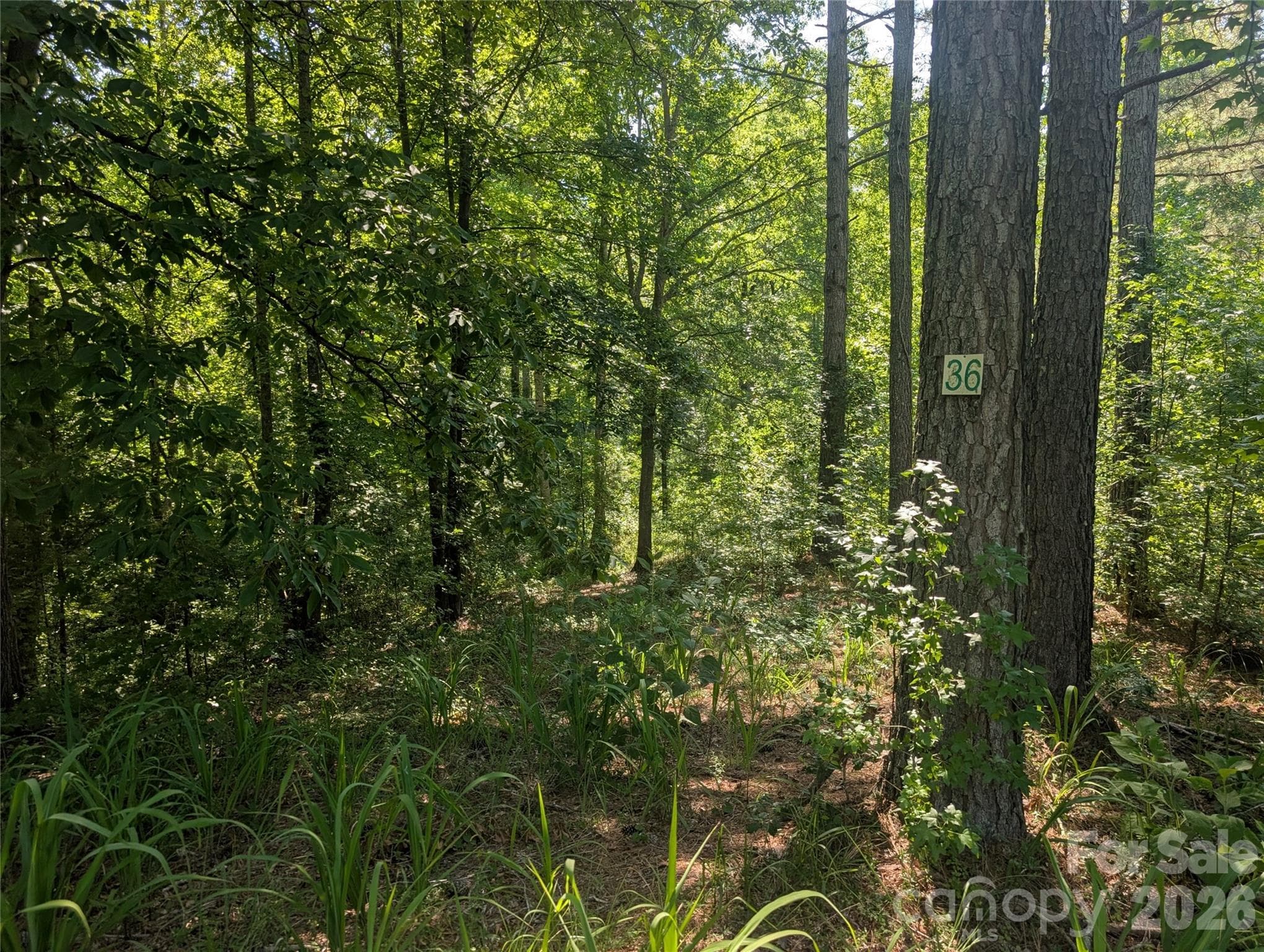 Lot 36 - 120 Scenic Ridge Drive, Mooresboro