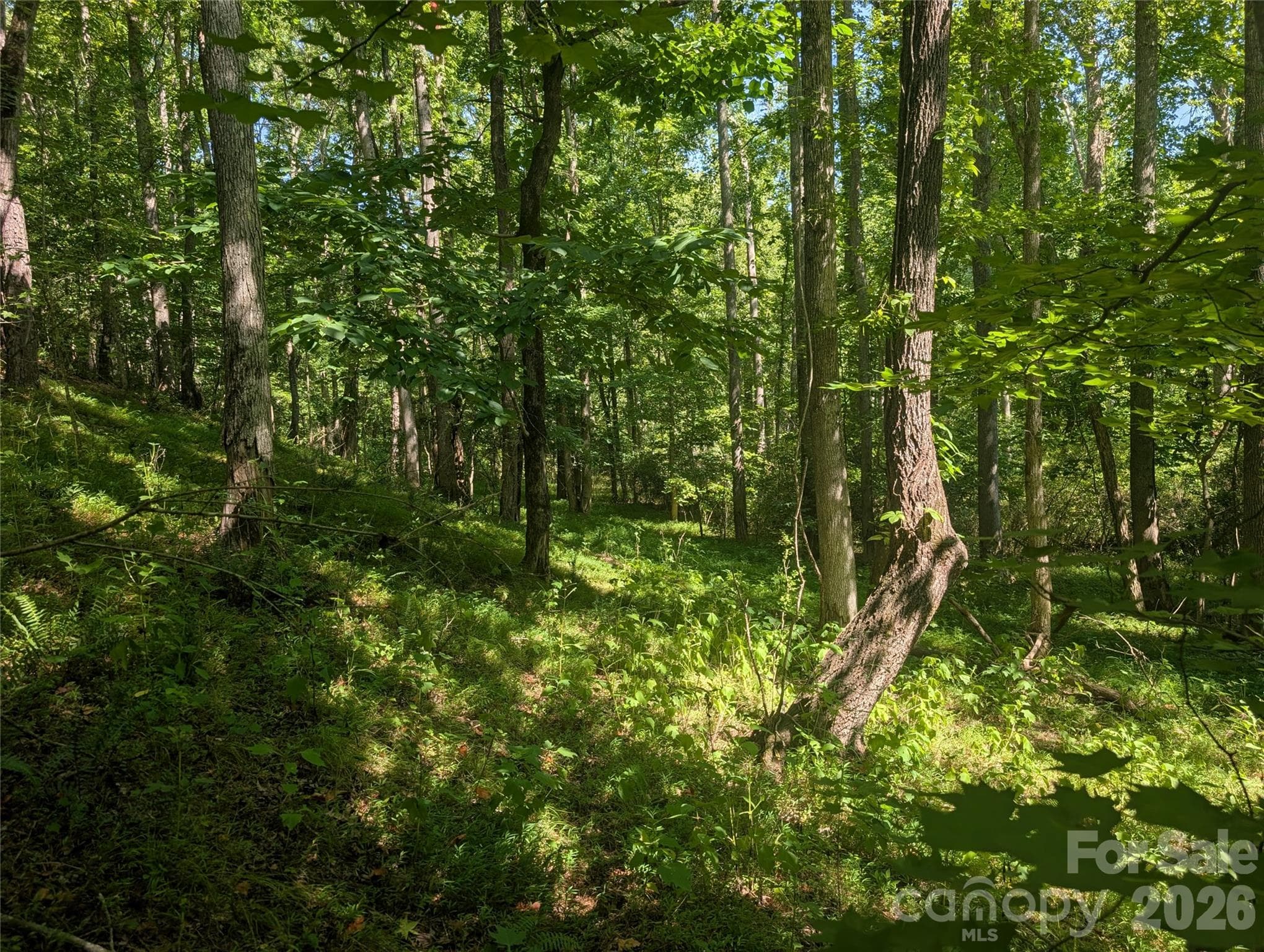 Sloping towards river - 120 Scenic Ridge Drive, Mooresboro