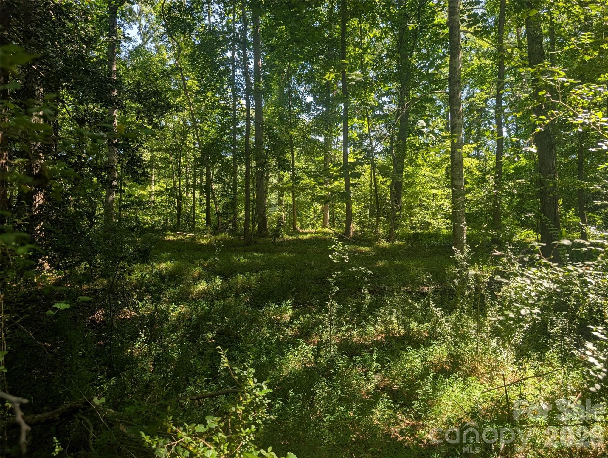 Open area near river - 120 Scenic Ridge Drive, Mooresboro