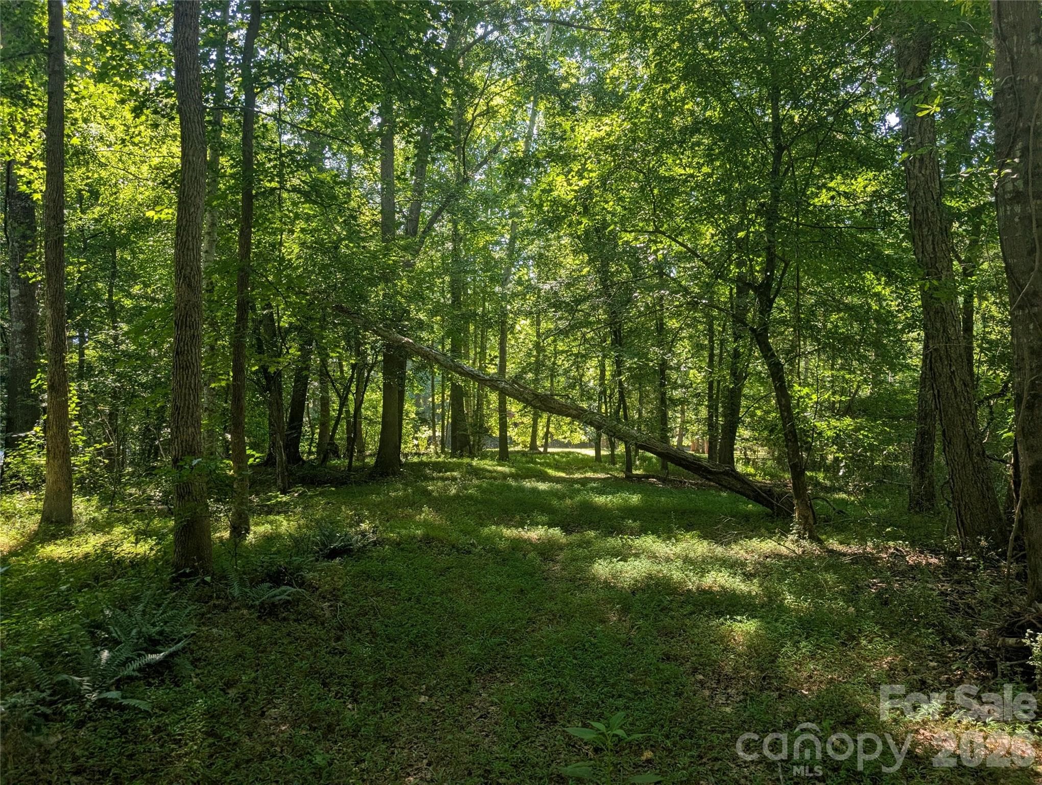 Open area near river - 120 Scenic Ridge Drive, Mooresboro