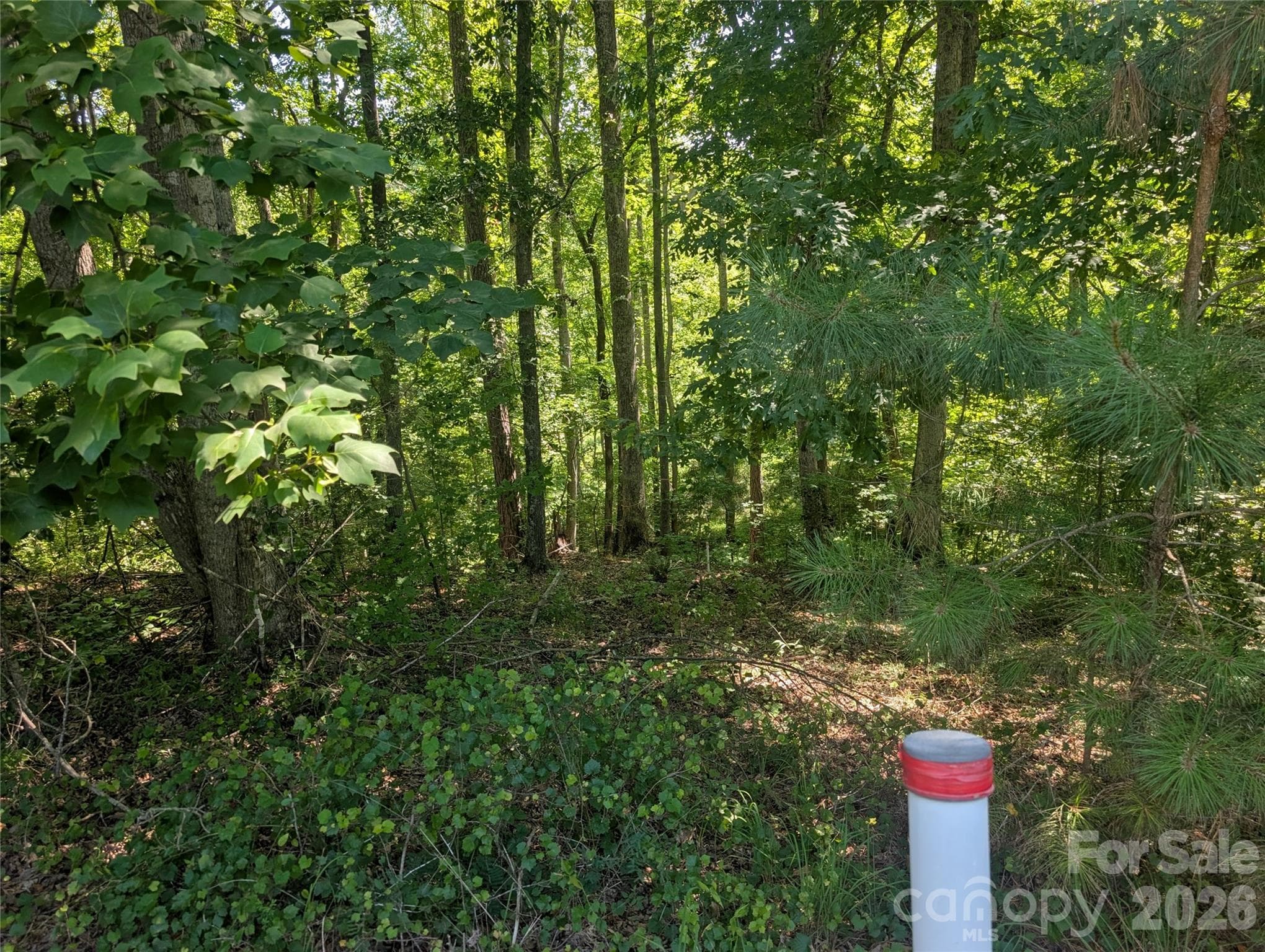 Left property corner - 120 Scenic Ridge Drive, Mooresboro