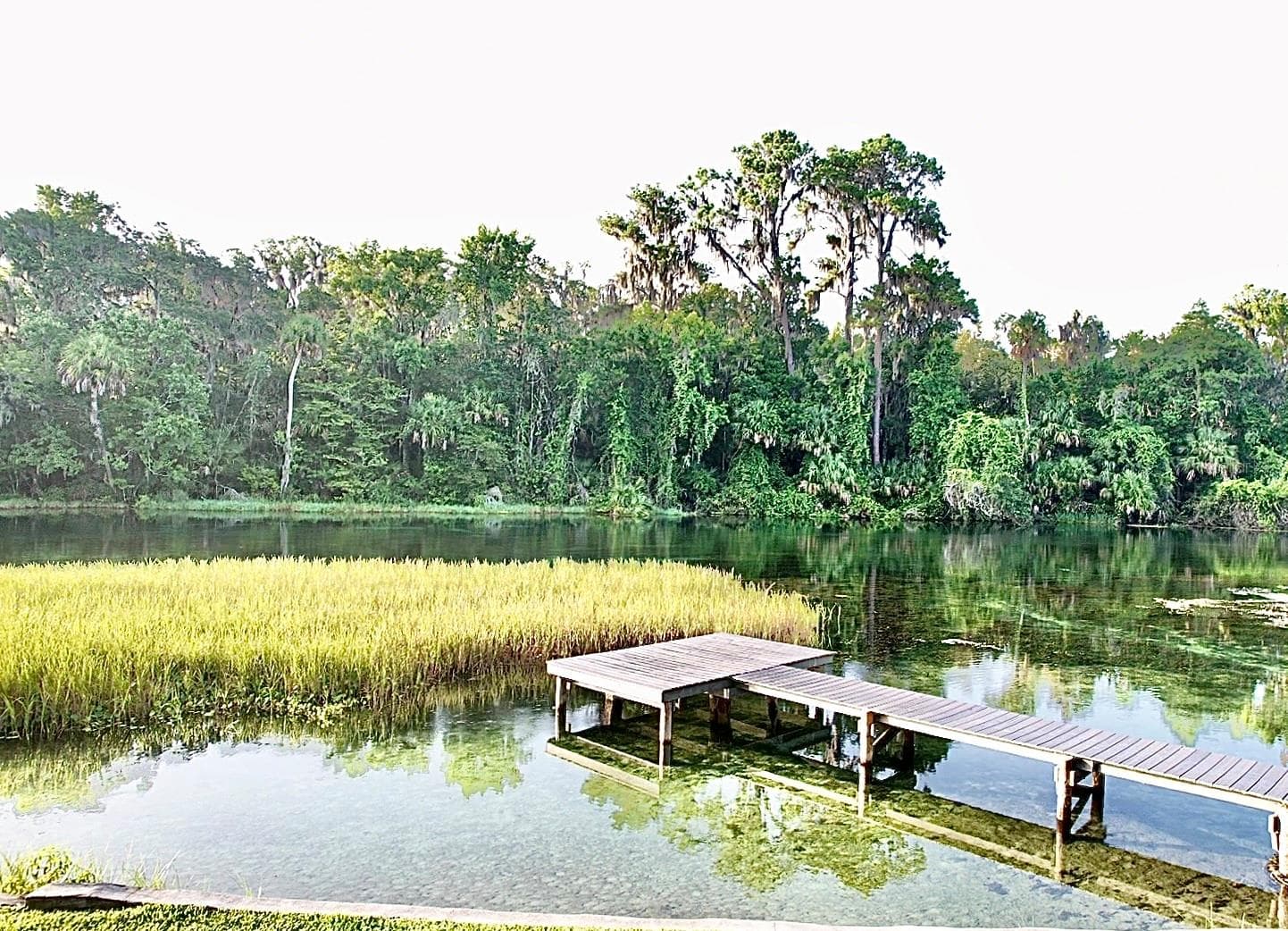 Single Family Residence at 9275 SW 186TH TER, DUNNELLON, photo 51 of 55