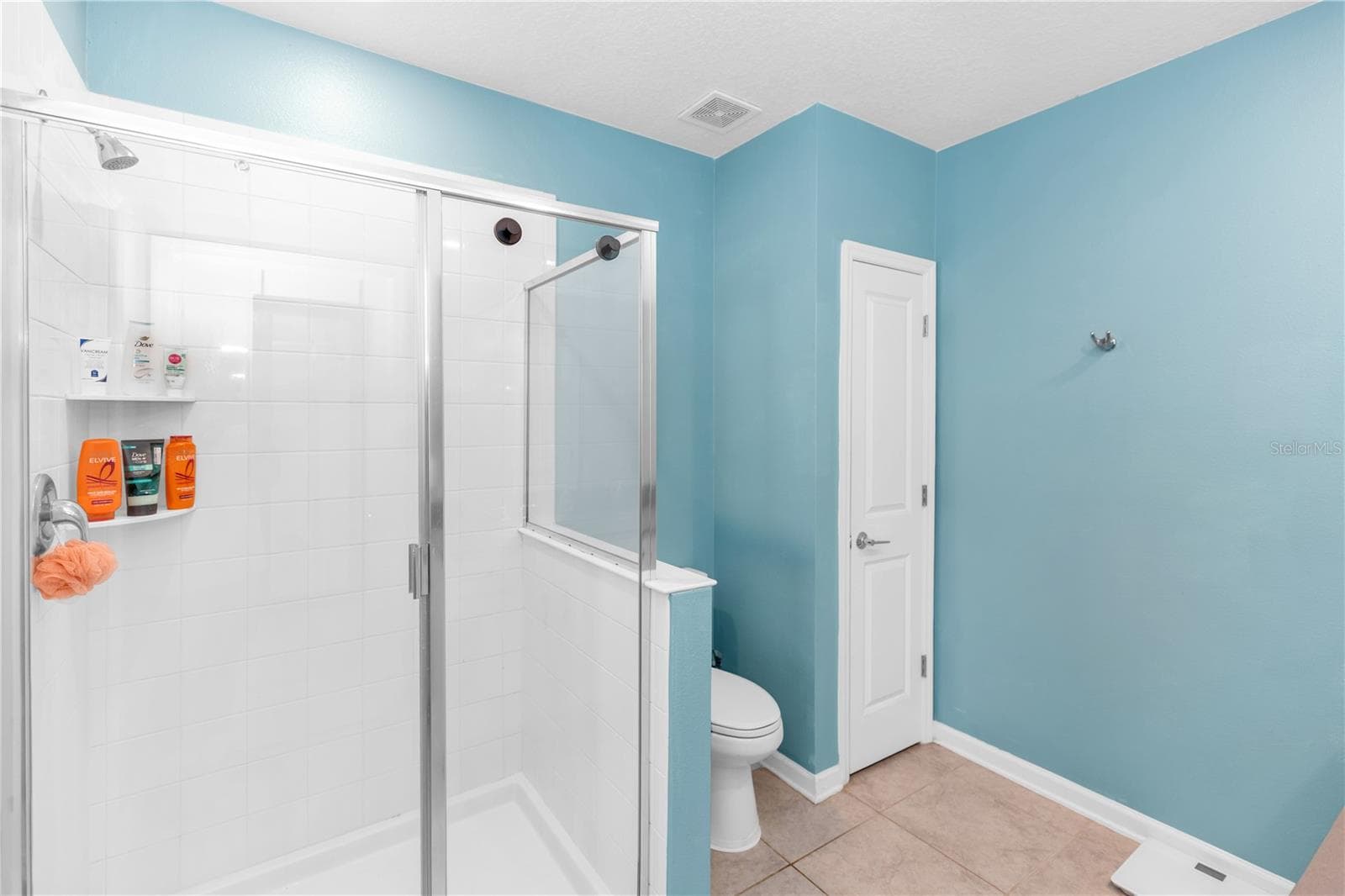 Single Family Residence at 1104 PEACH CREEK DR, OSTEEN, photo 19 of 31