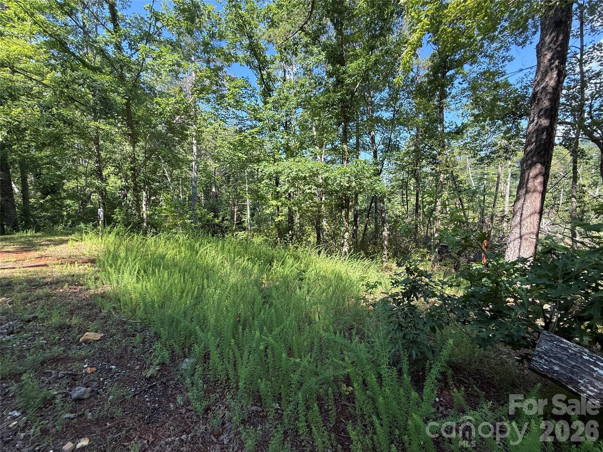 Side view of property - 999 Fox Ridge Trail, Marion