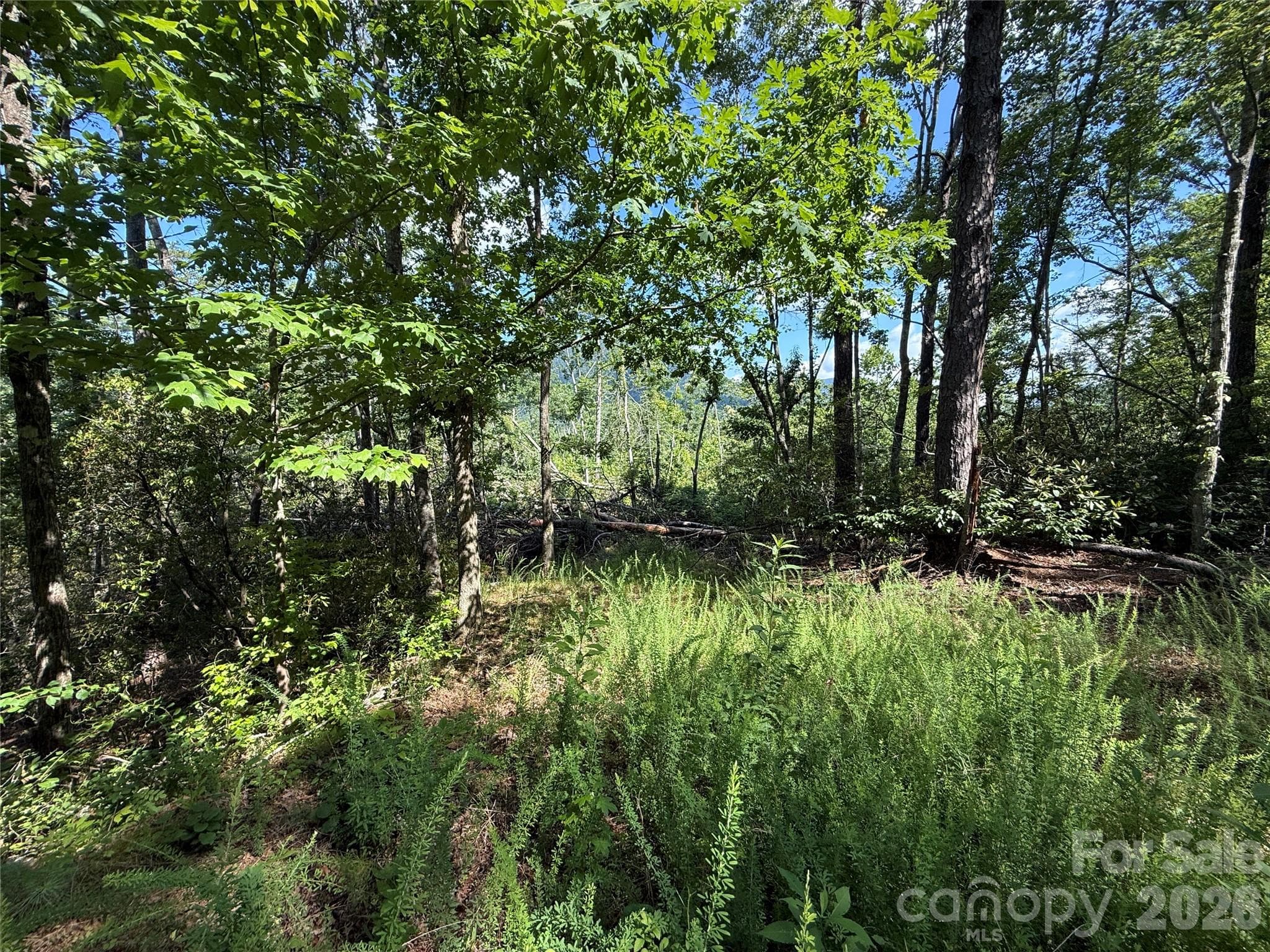 Winter Views - 999 Fox Ridge Trail, Marion