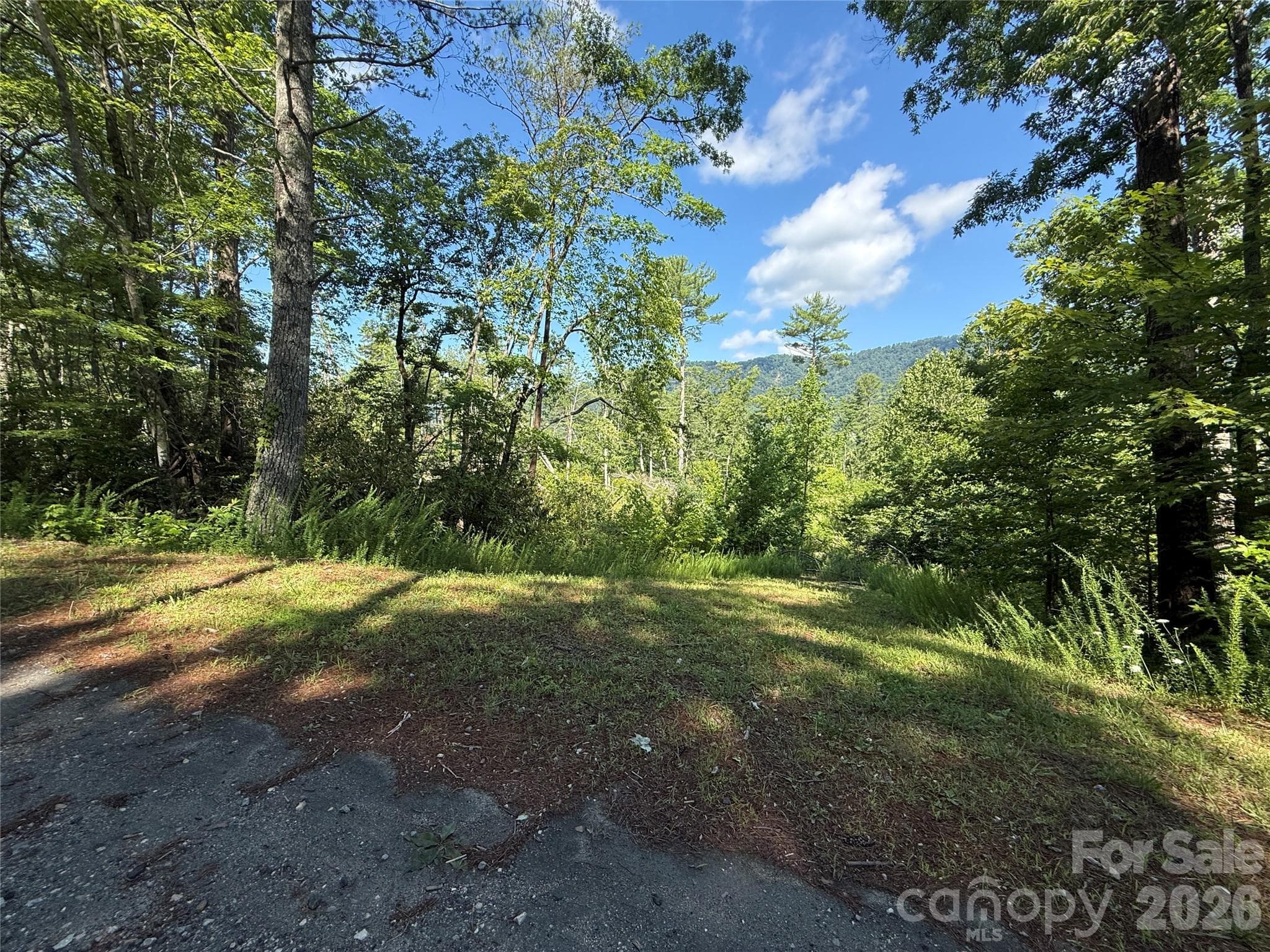 View from utility easement area - 999 Fox Ridge Trail, Marion