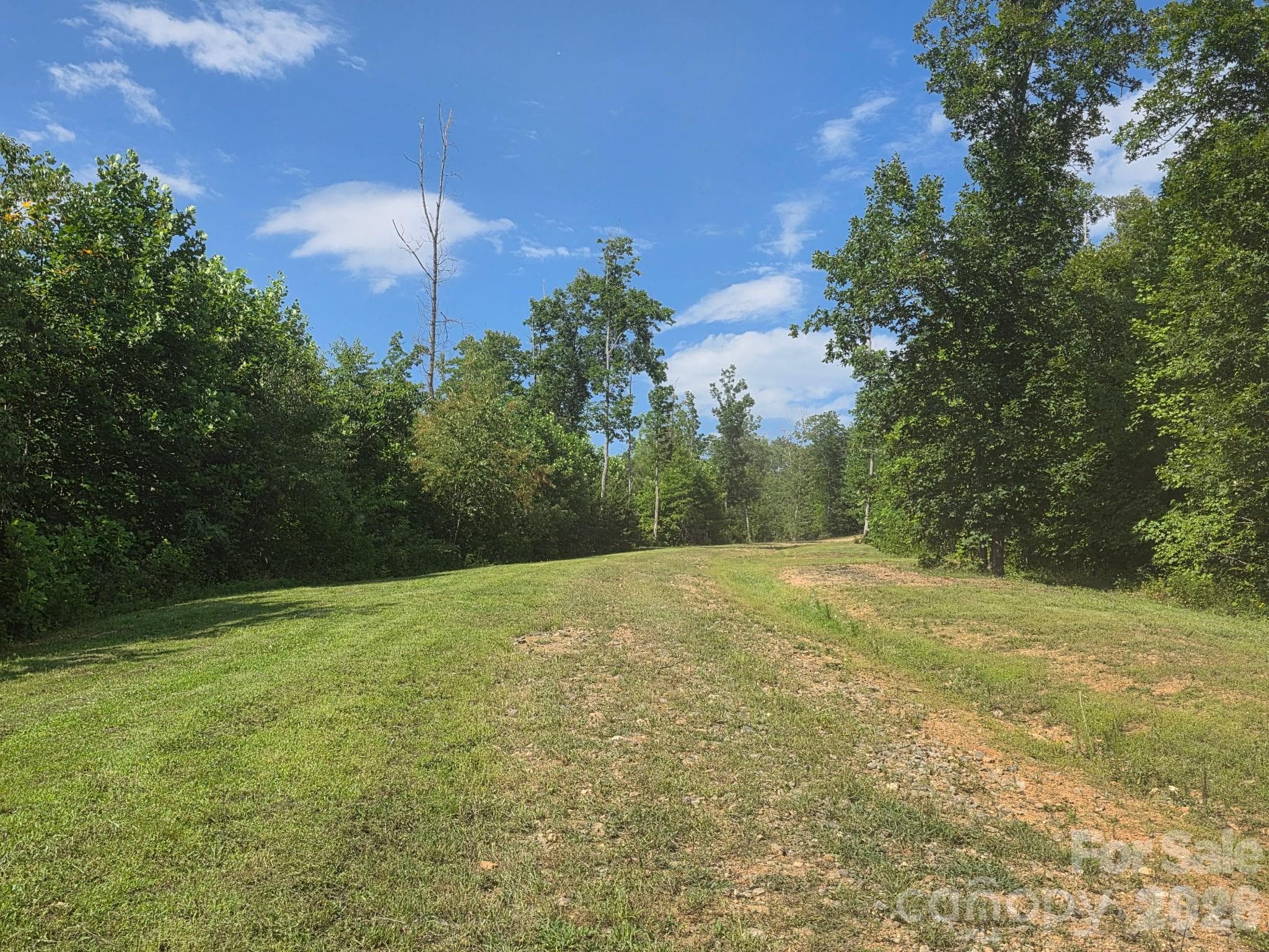 Acreage at 272 Randolph Drive, Marion, photo 18 of 19