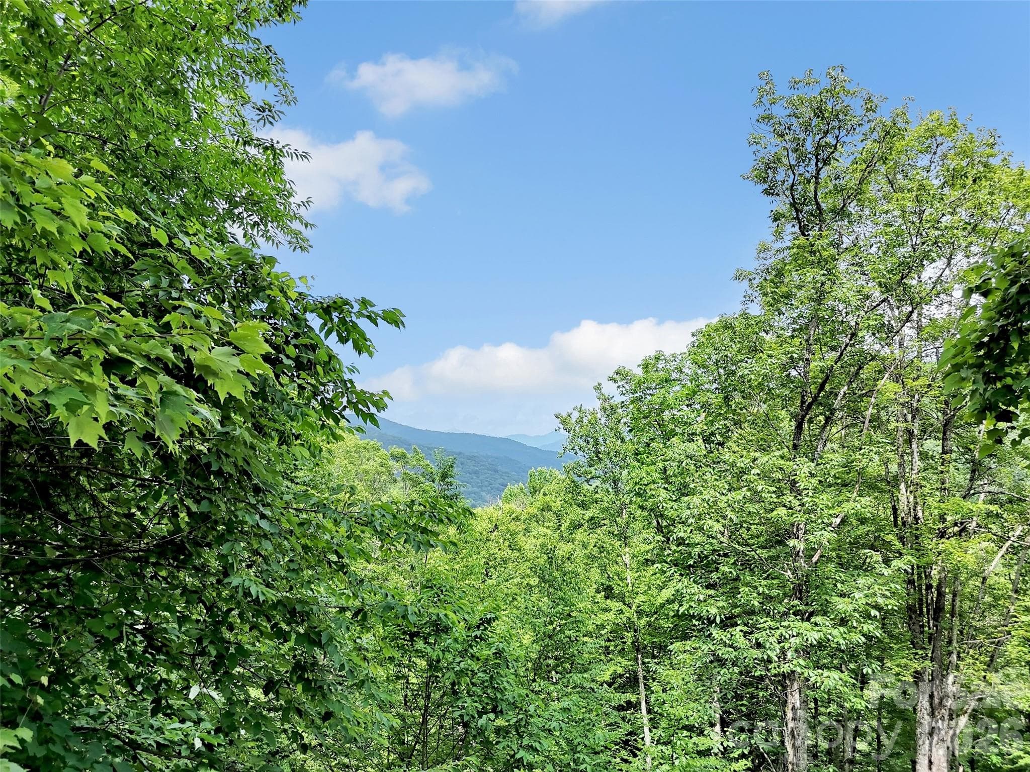 Single Family Residence at 3214 Big Laurel Road, Waynesville, photo 20 of 48