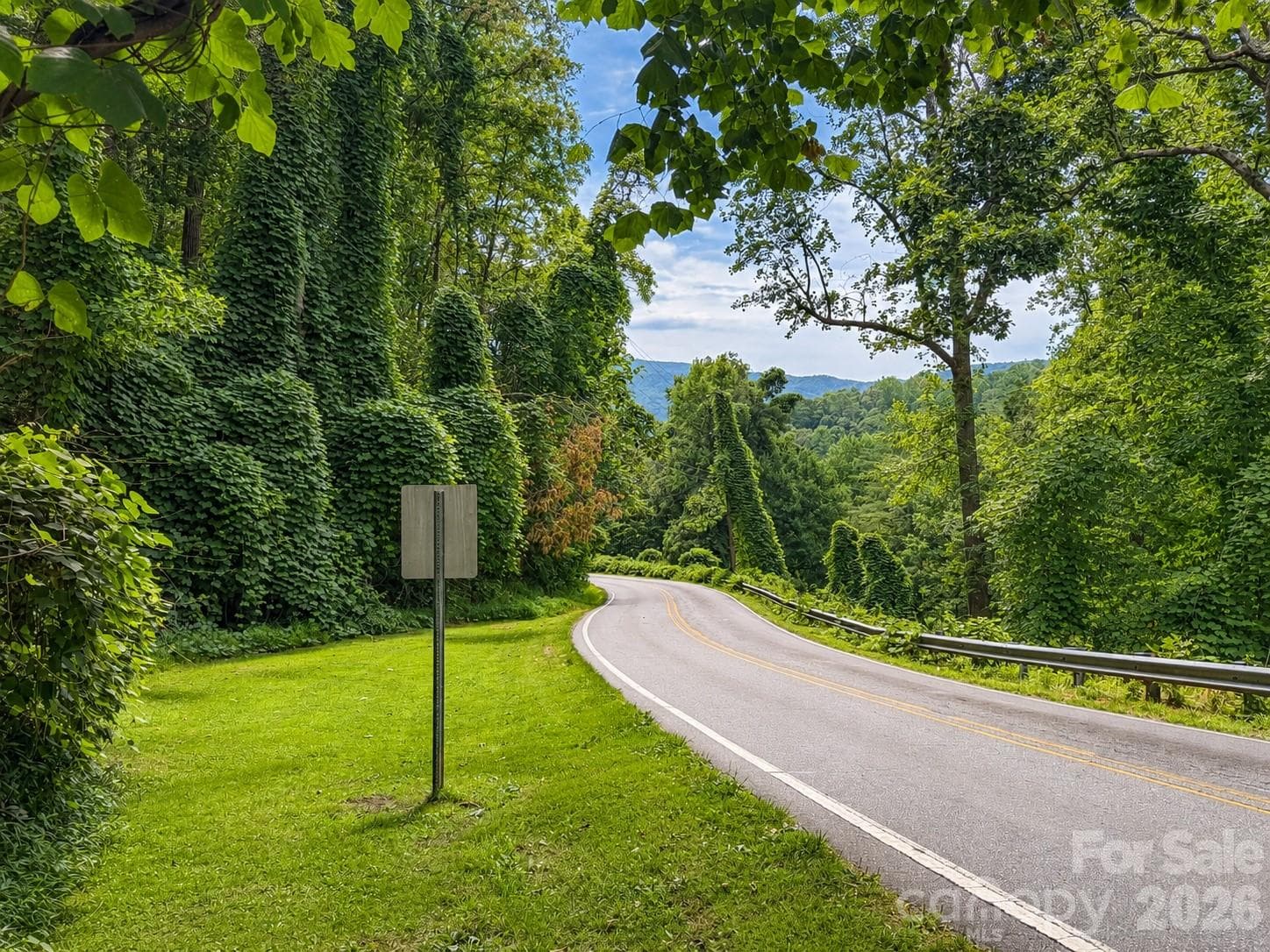 0 WATERSIDE DR on Buffalo Creek Road, Noblitte Ct, Hillview Dr. Rumbling Bald On Lake Lure - 0 Waterside Drive, Lake Lure