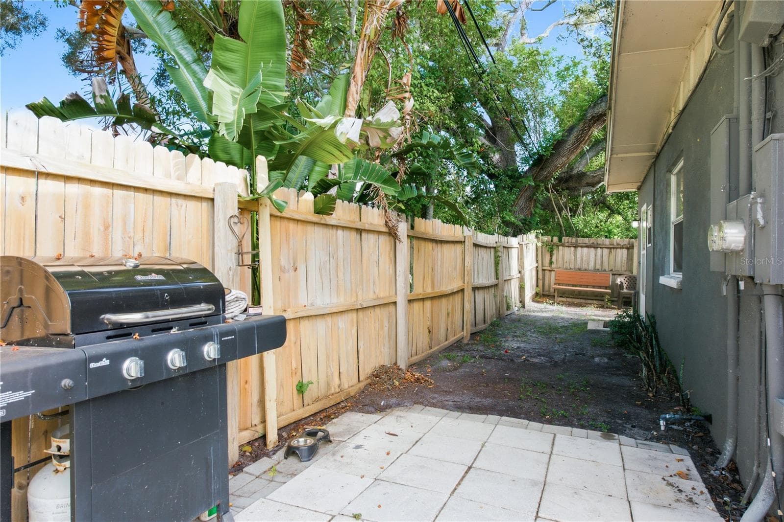 Private Yard - 536 PATRICIA AVE, DUNEDIN