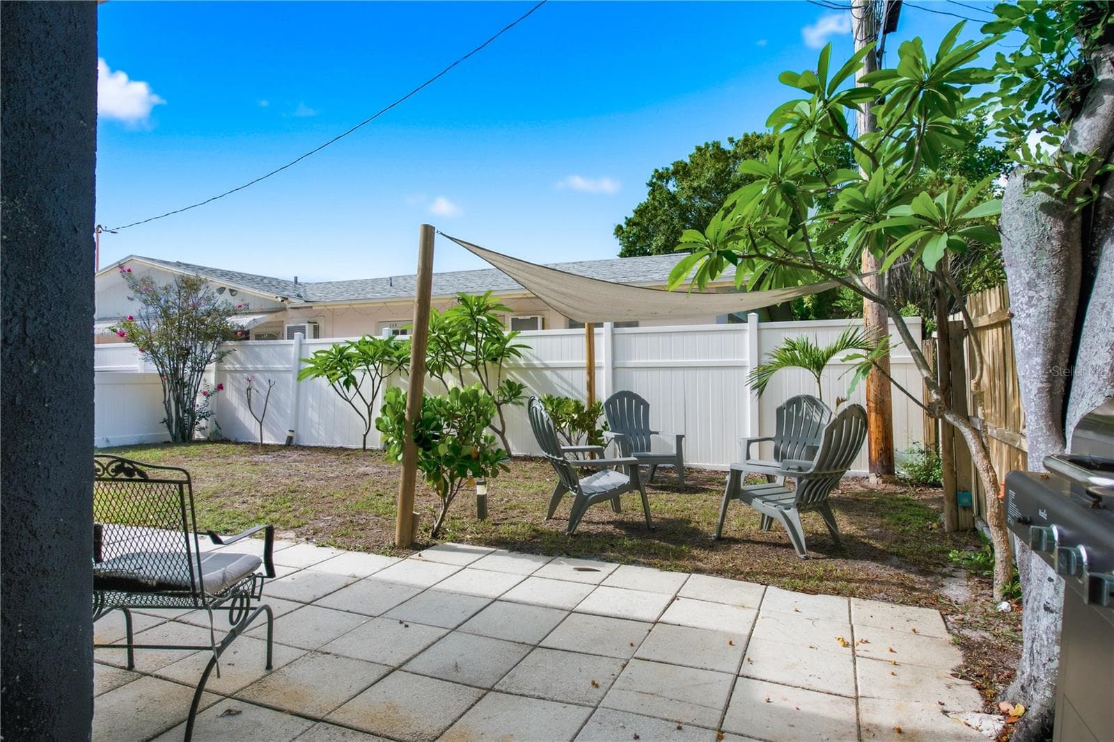 Private Yard - 536 PATRICIA AVE, DUNEDIN