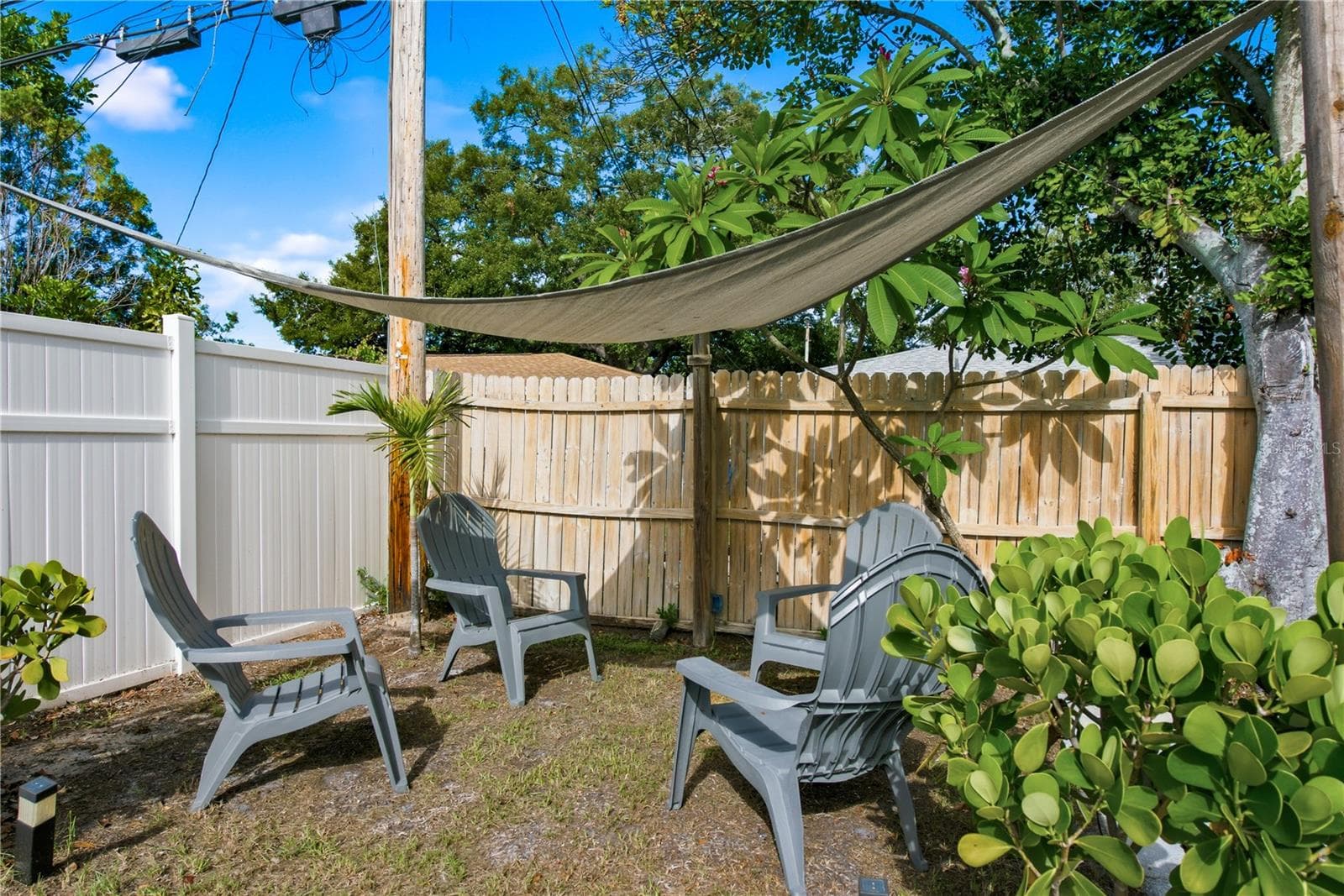 Private Yard - 536 PATRICIA AVE, DUNEDIN