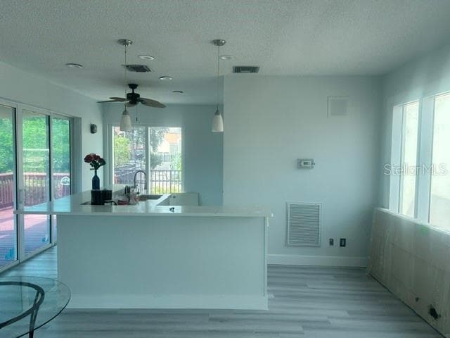 Clubhouse kitchen - 4207 FOGCUTTER CT, TAMPA